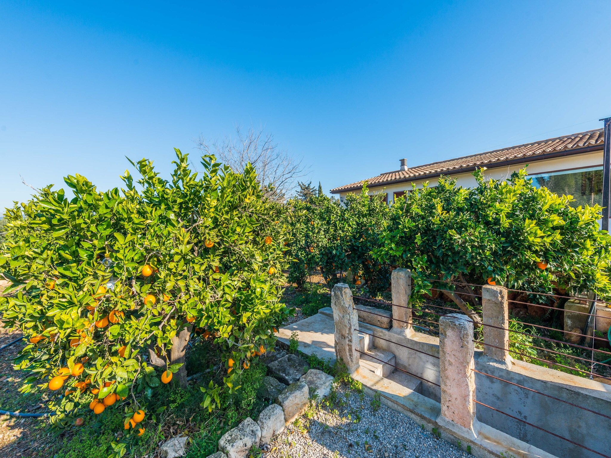 Ferienhaus Es Serral