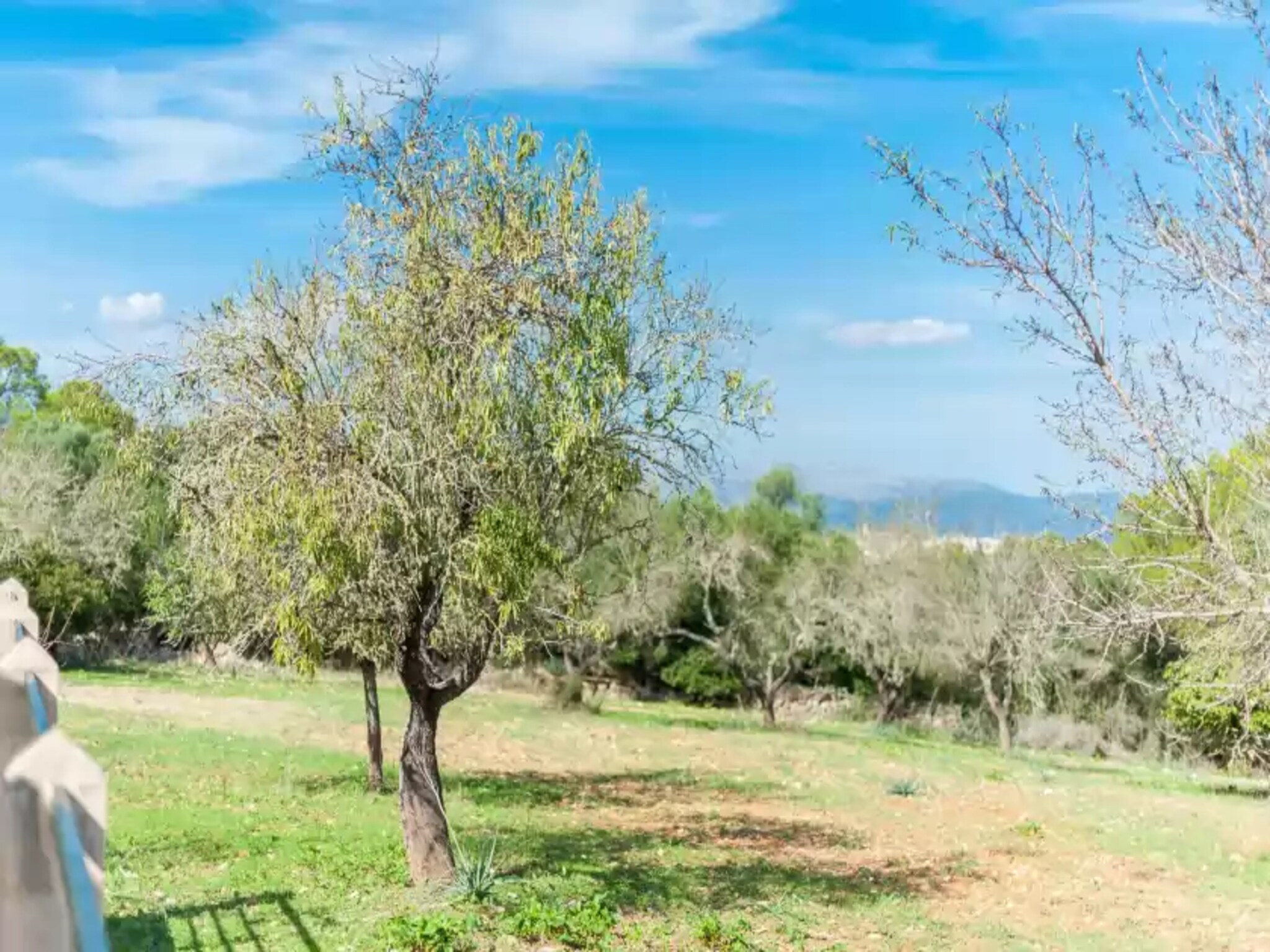 Ferienhaus Son Rossinyol