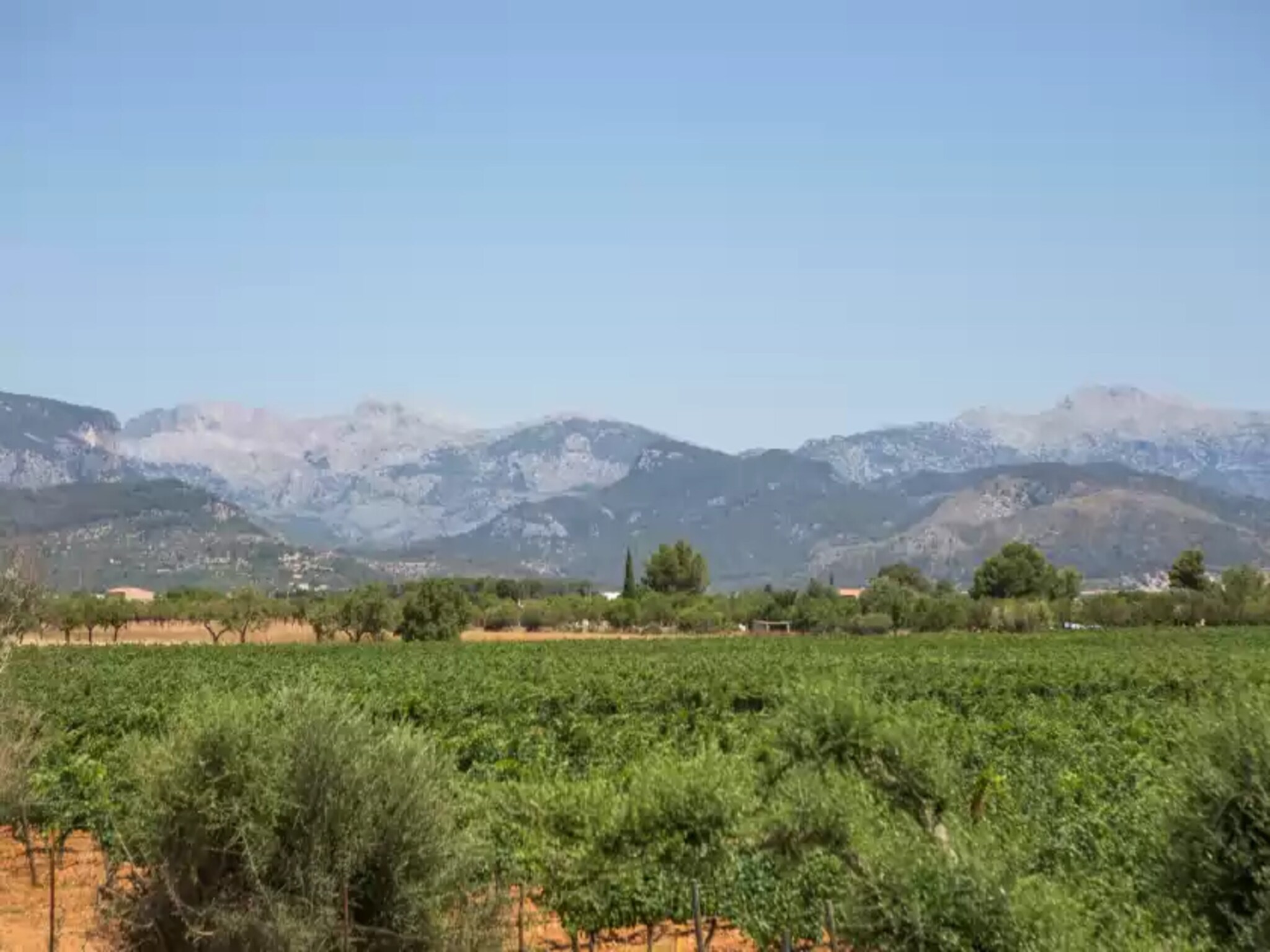 Ferienhaus Es Blanquer De Na Fani