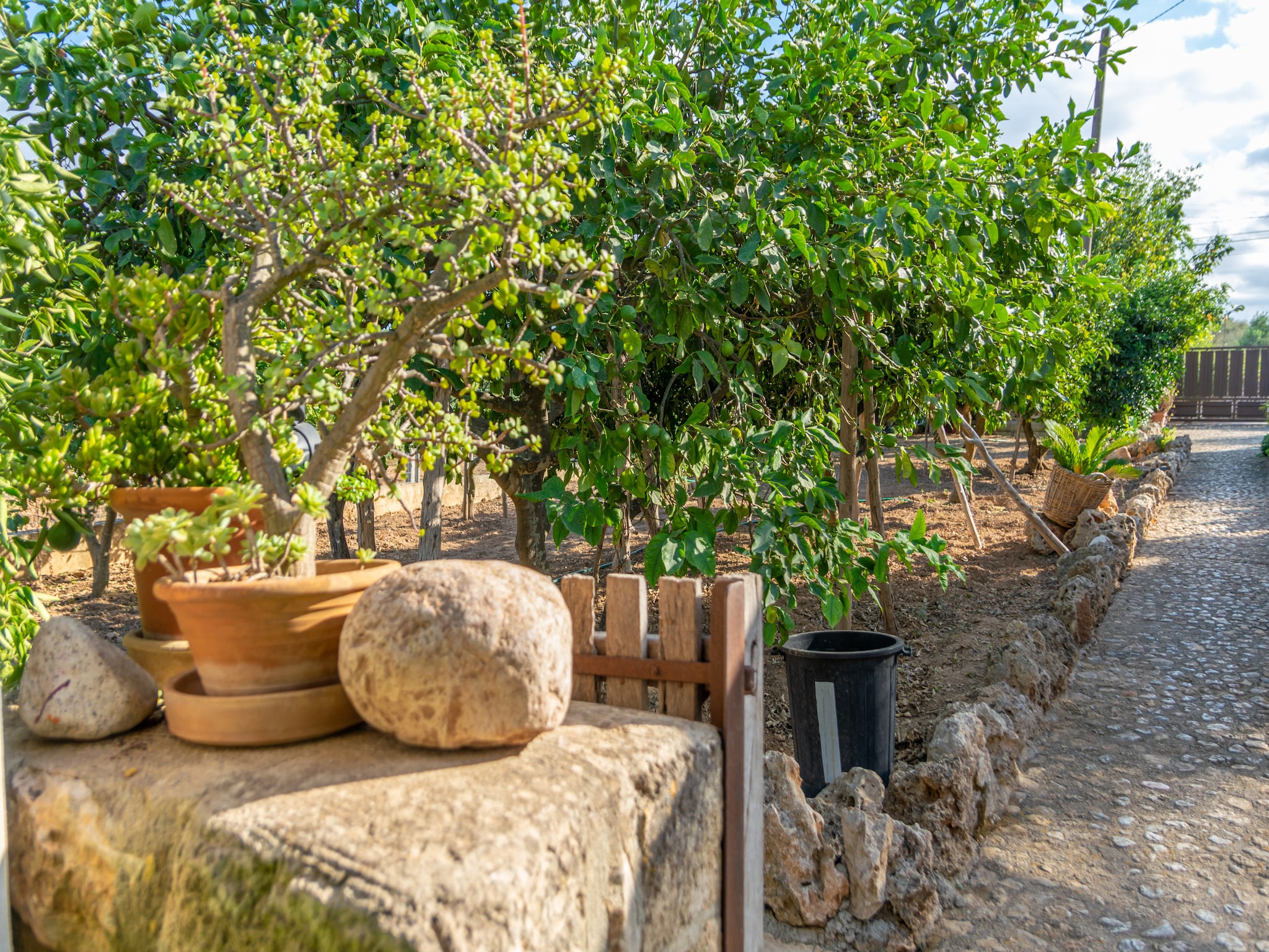 Feriebolig Finca Son Matginet 18