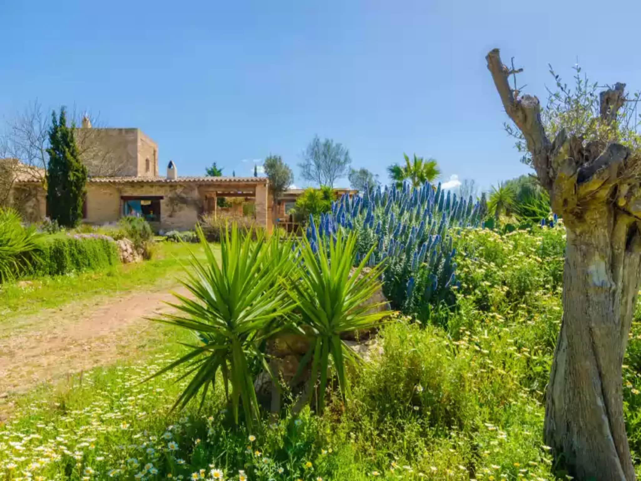 Ferienhaus Villa Es MolÍ Des Trenc