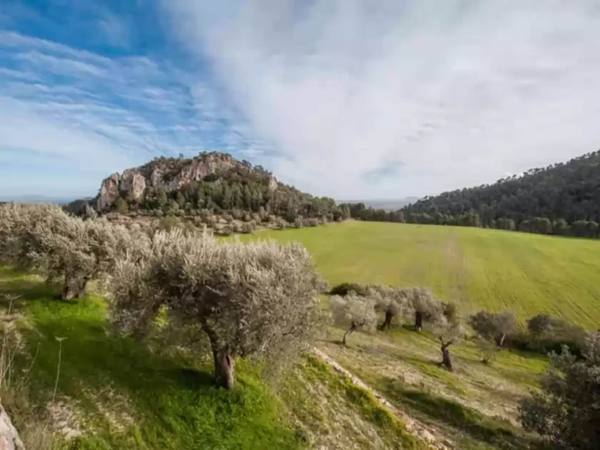 Ferienhaus Can BessÓ Mancor De La Vall