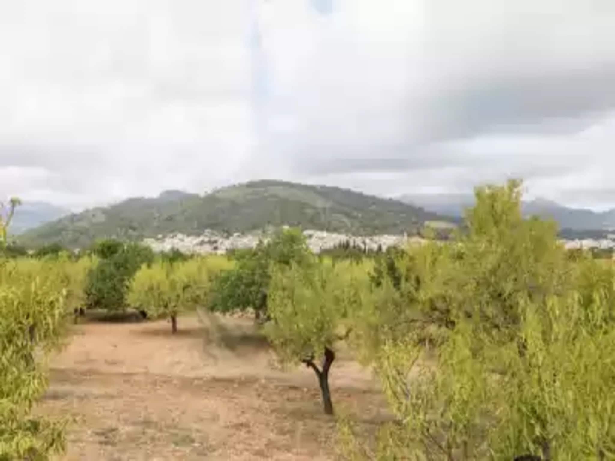 Ferienhaus Casa Vella (vall Petit)