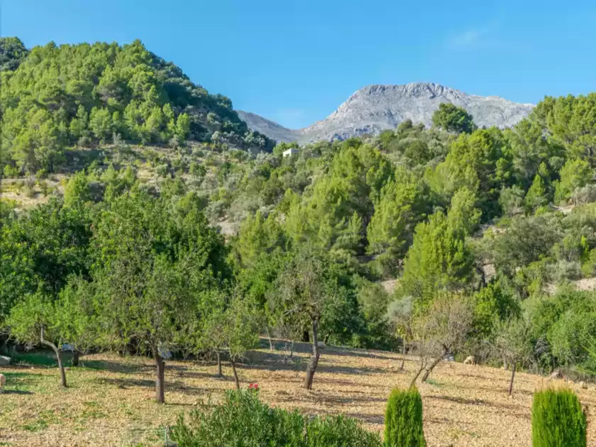 Holiday home Sa Tanca De Sa Nina