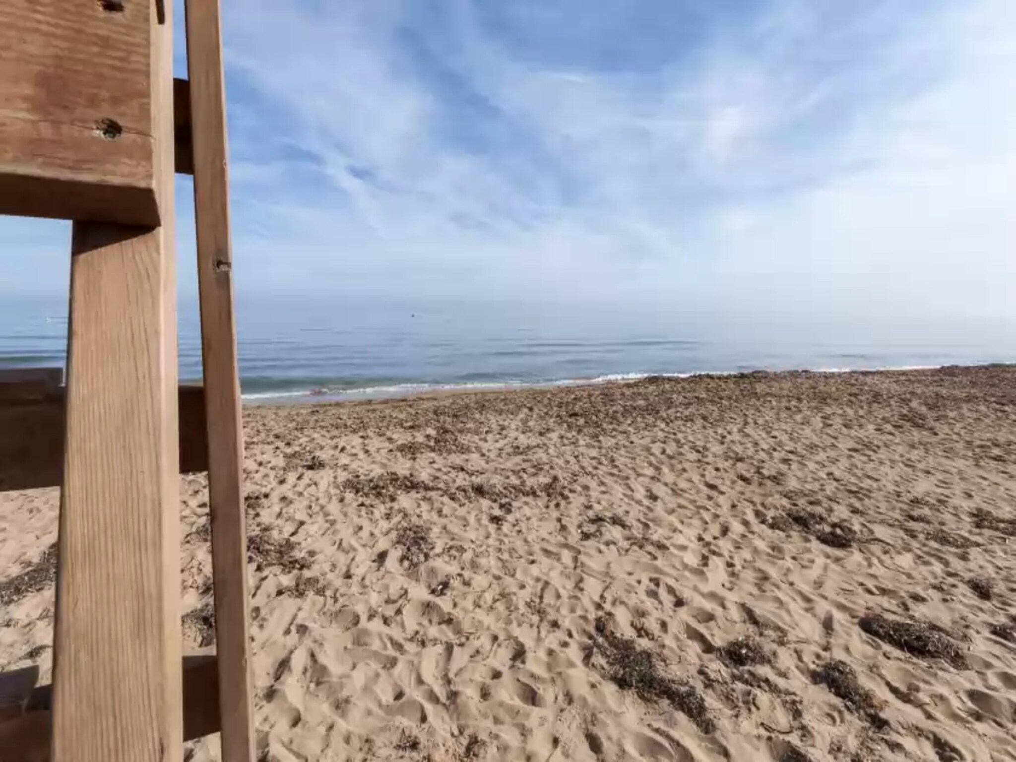   Palomas