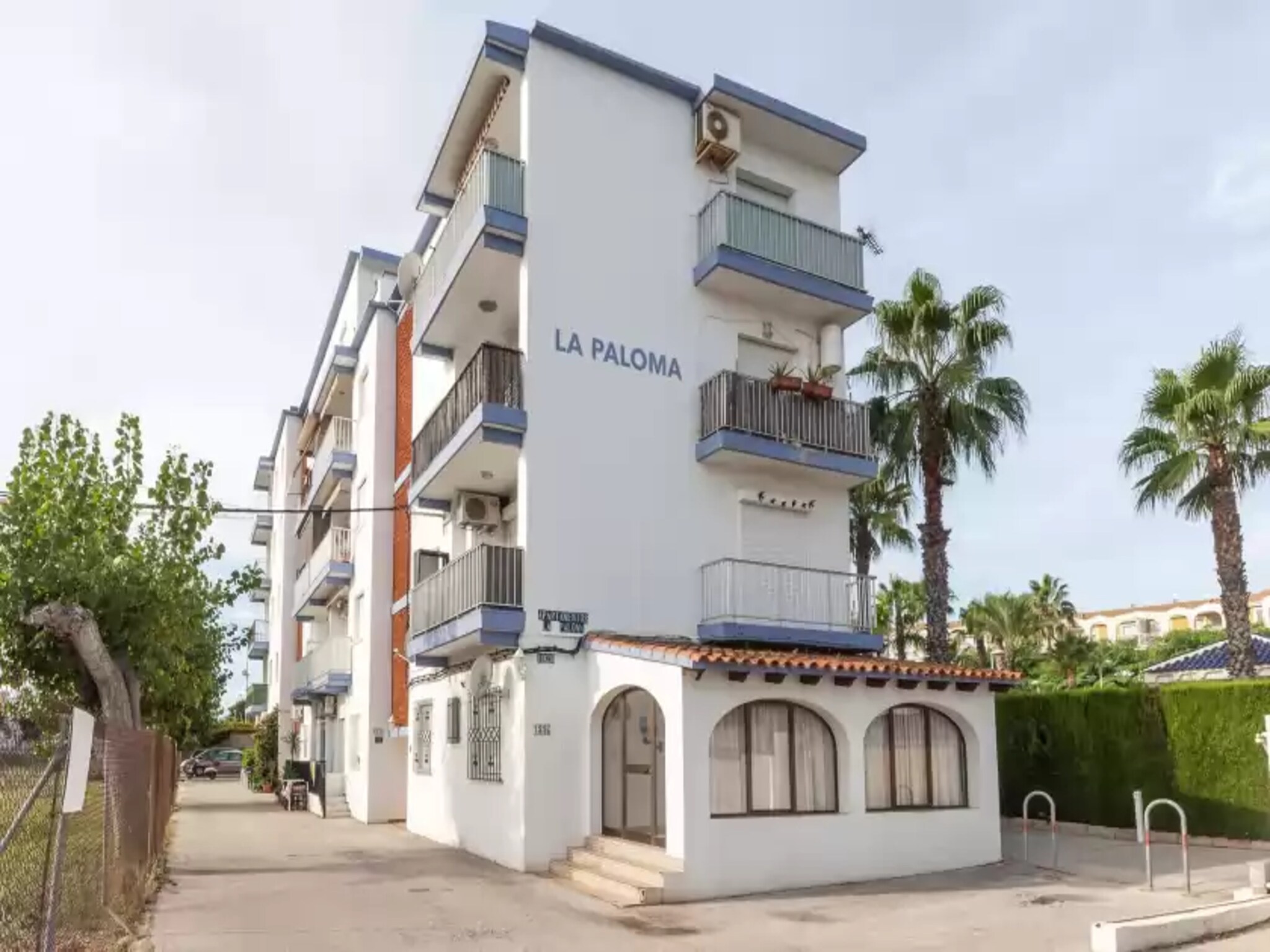   Palomas
