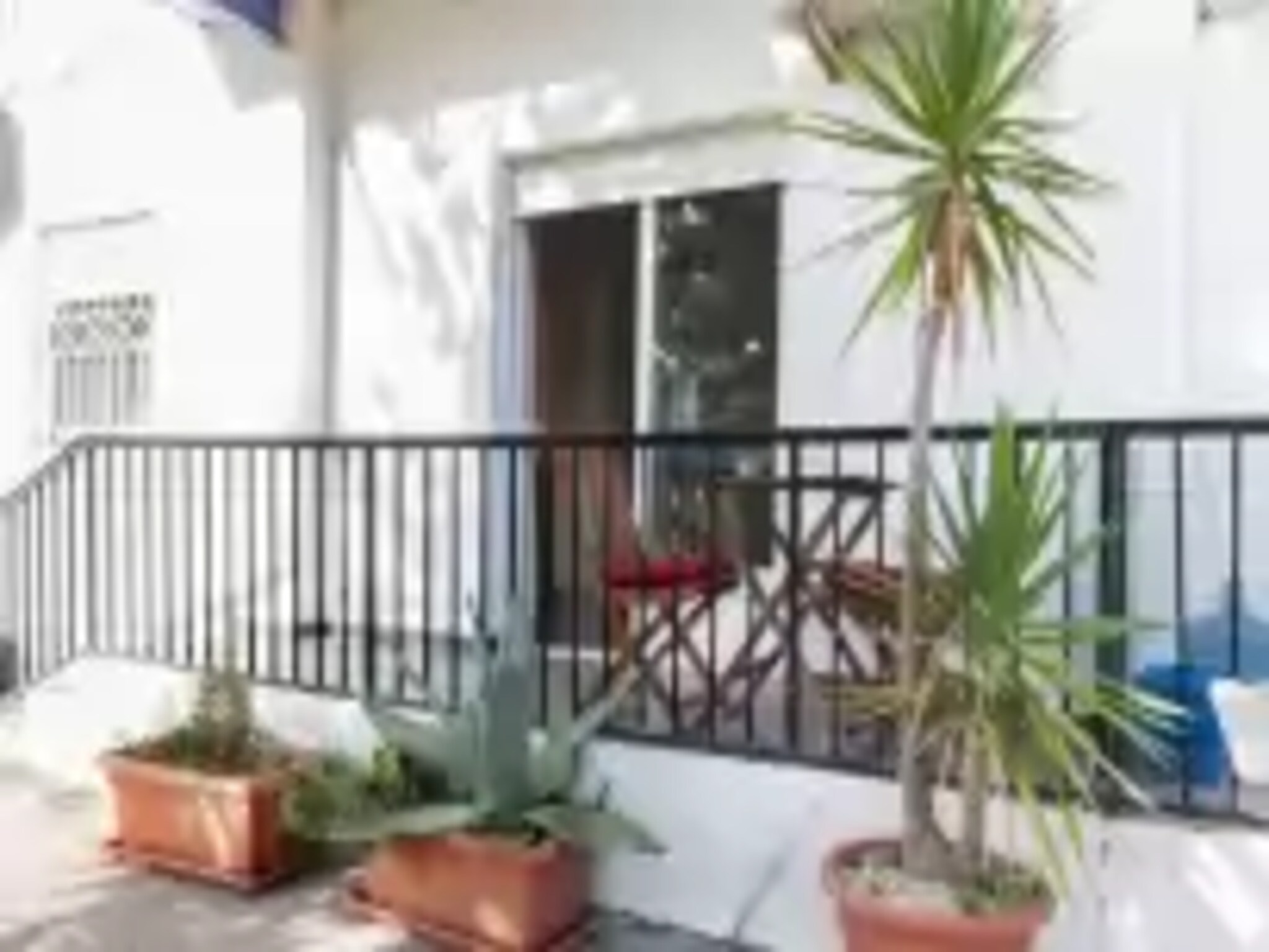   Palomas