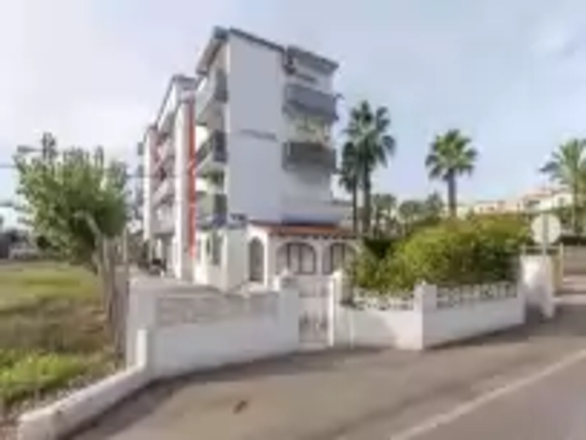   Palomas