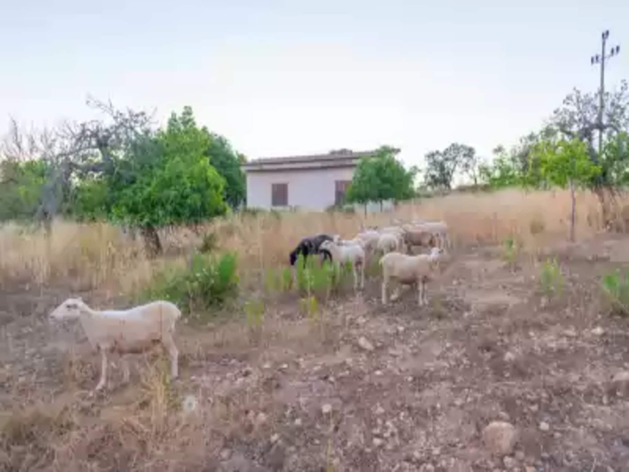 Feriebolig Finca Son PuÇa