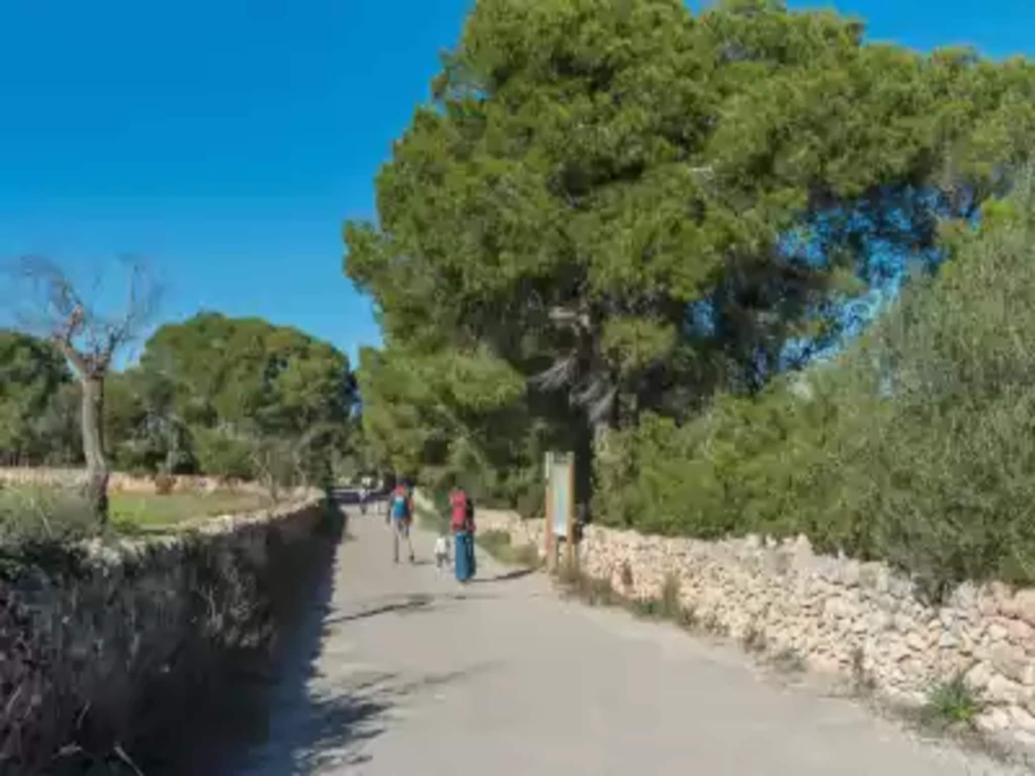 Dom Can Ferrer (cala D'or)