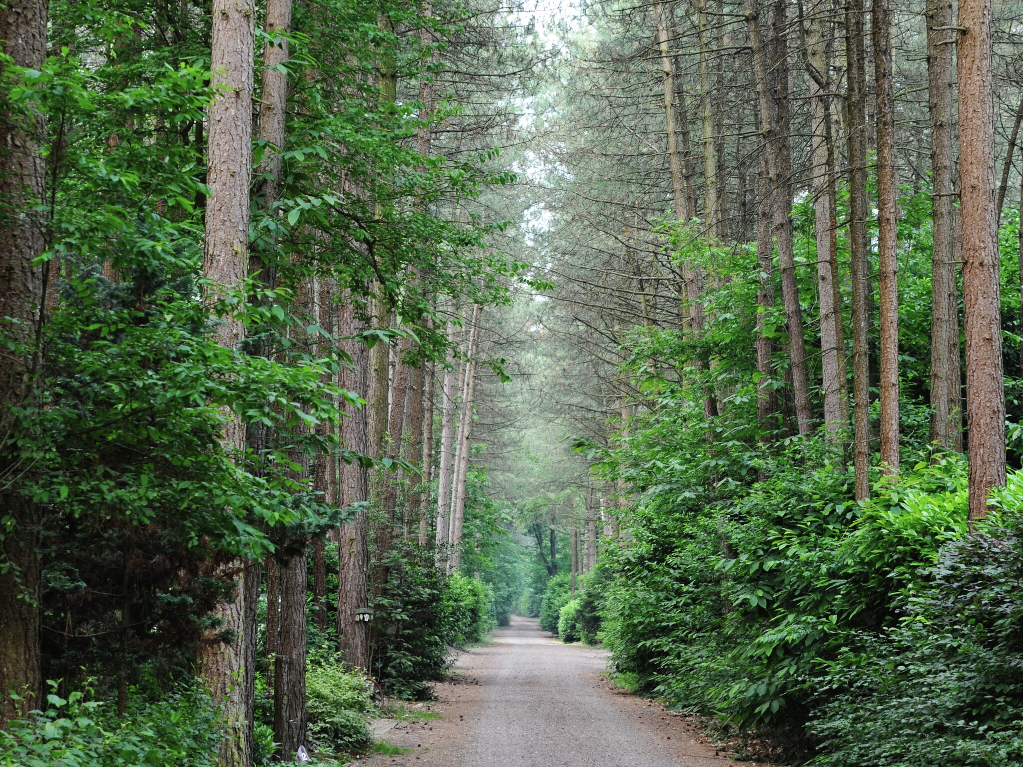   Parc de Kievit 24