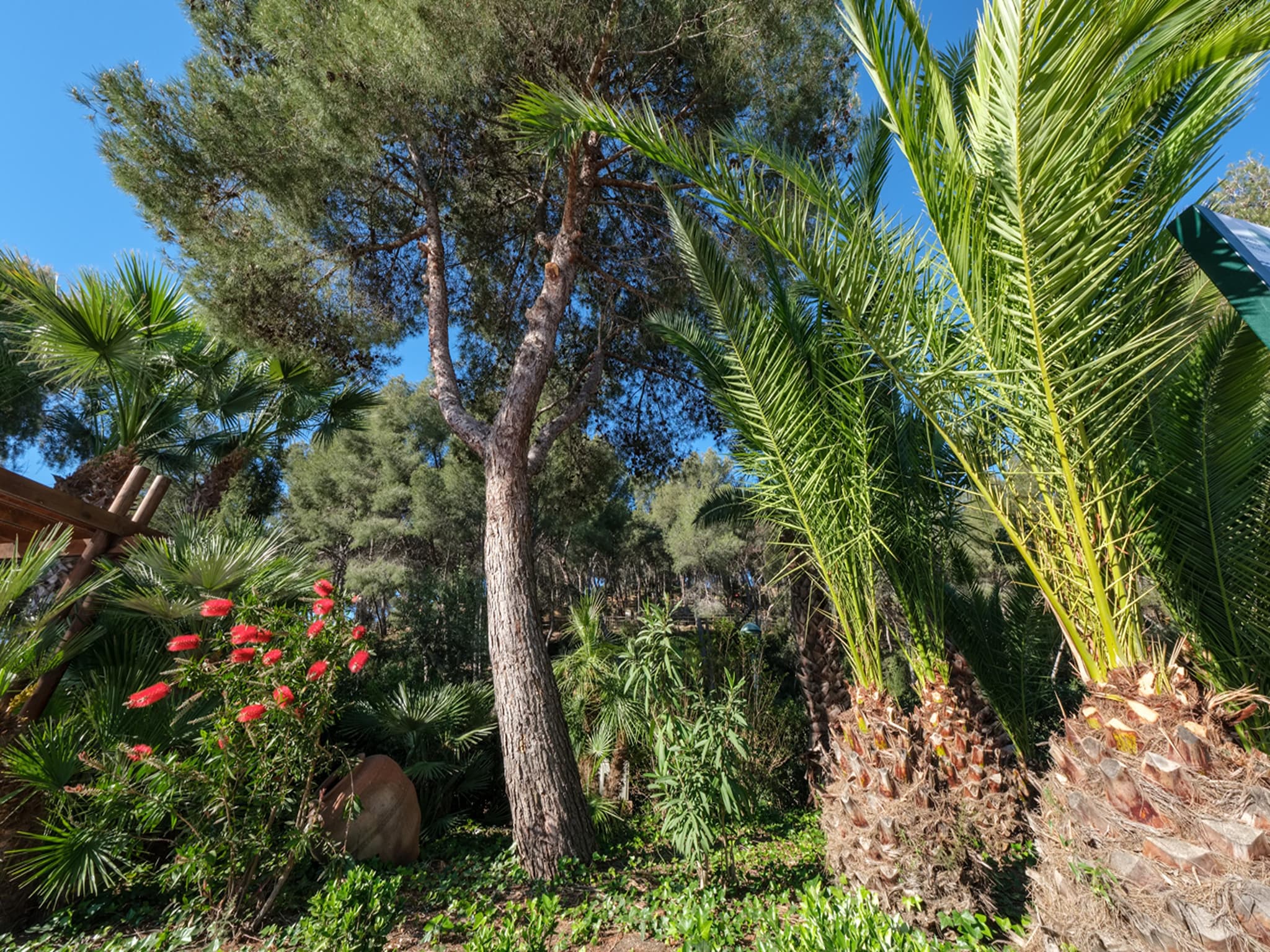   Camping Estival Torre de la Mora COCO TENT 4 Pax