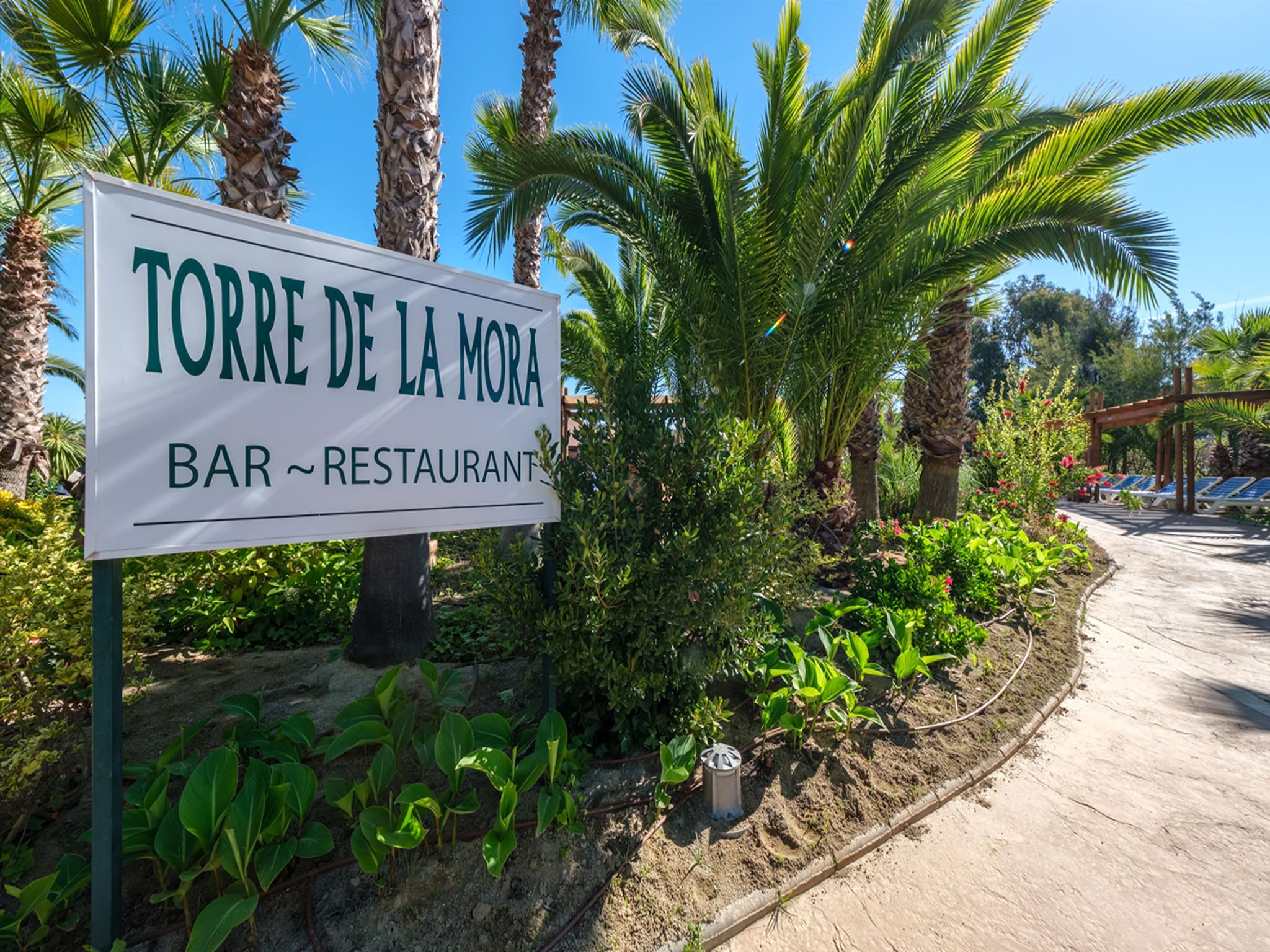  Camping Estival Torre de la Mora COCO TENT 4 Pax