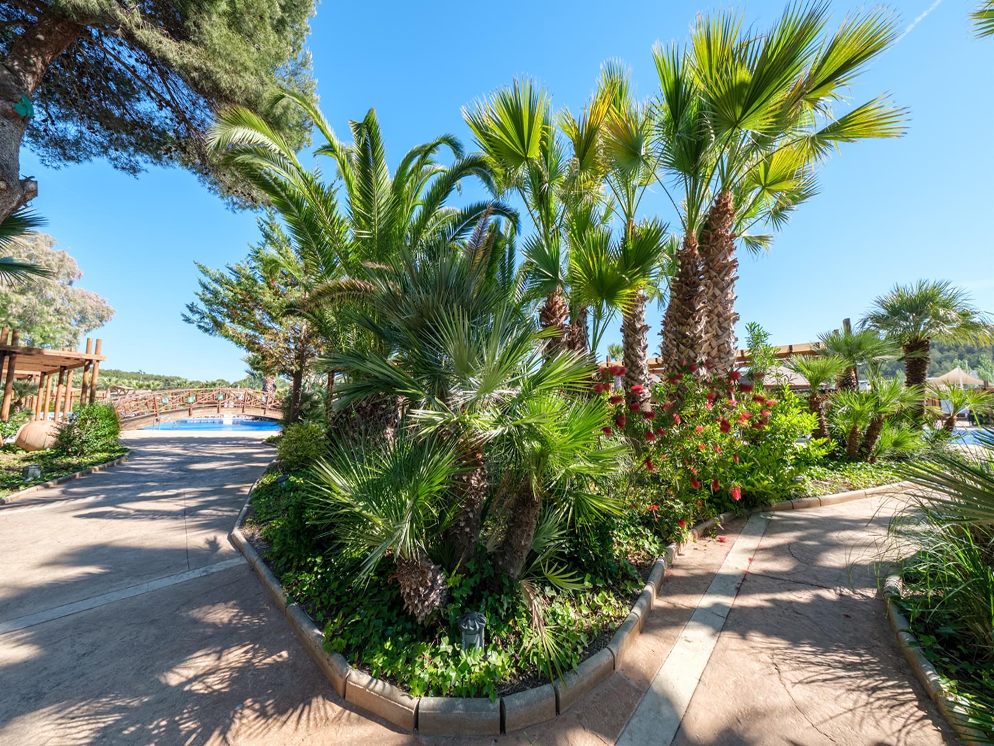   Camping Estival Torre de la Mora COCO TENT 4 Pax