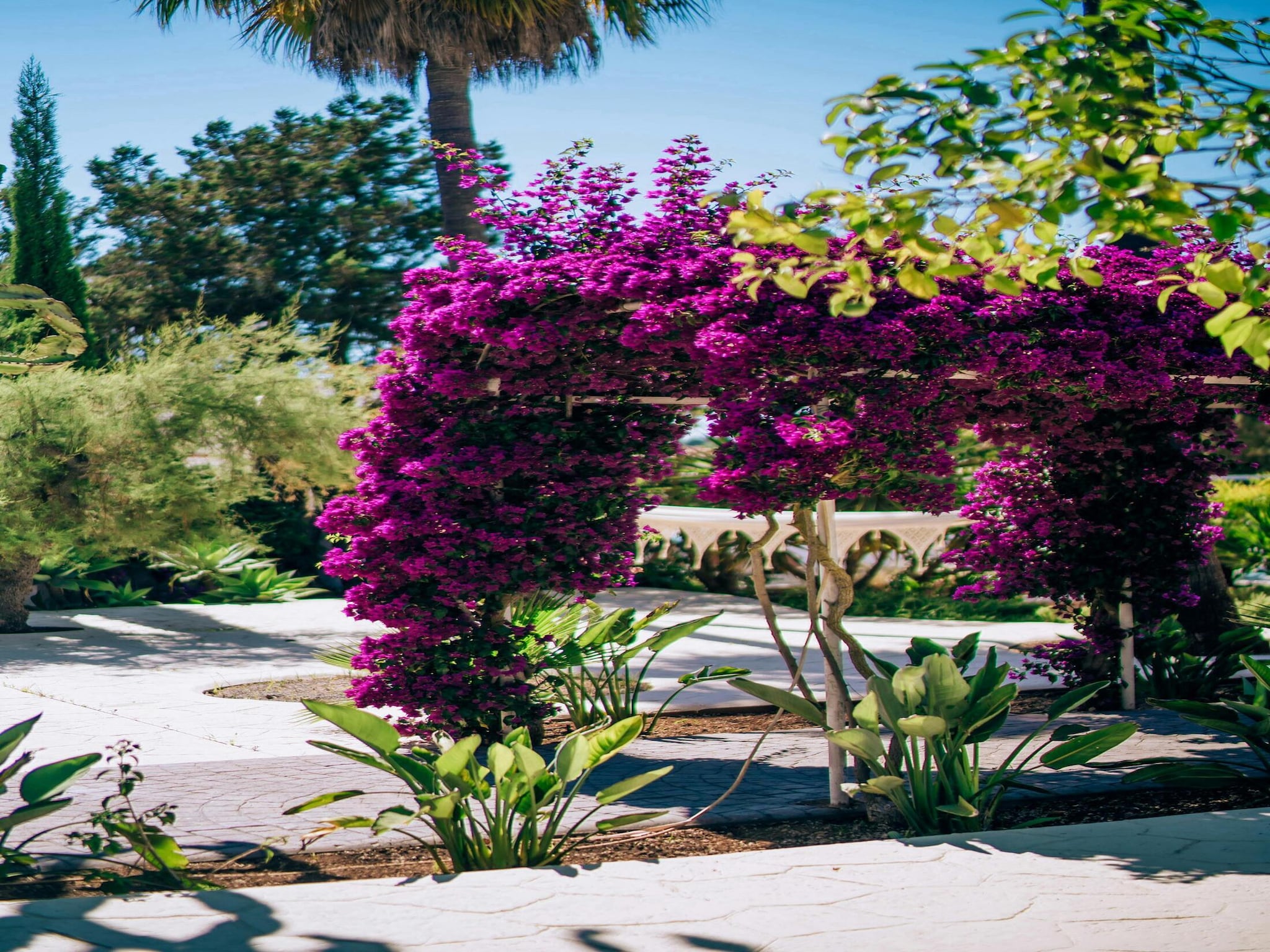 Ferienhaus Casa Labonita