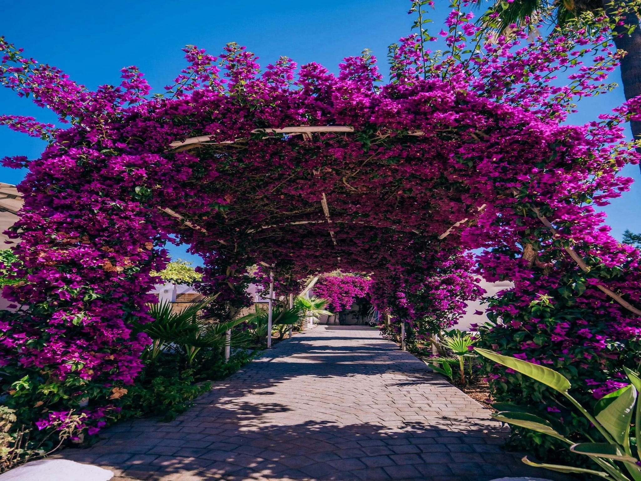 Ferienhaus Casa Labonita