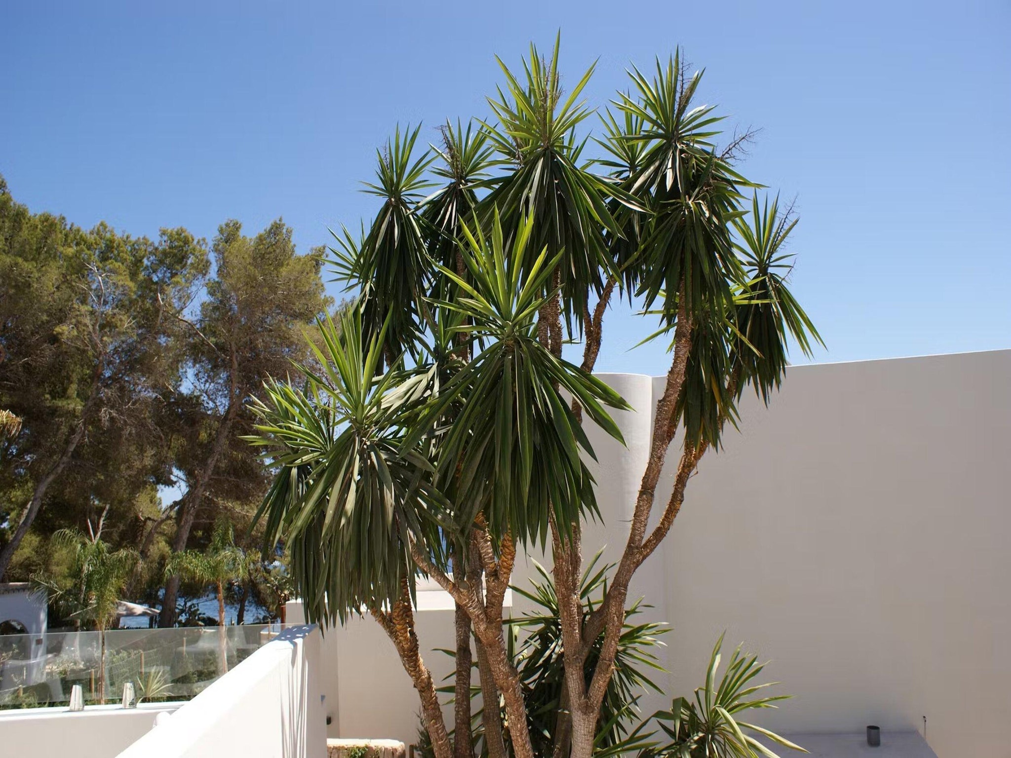 Vakantiehuis Casa Tranquila S'Argamassa