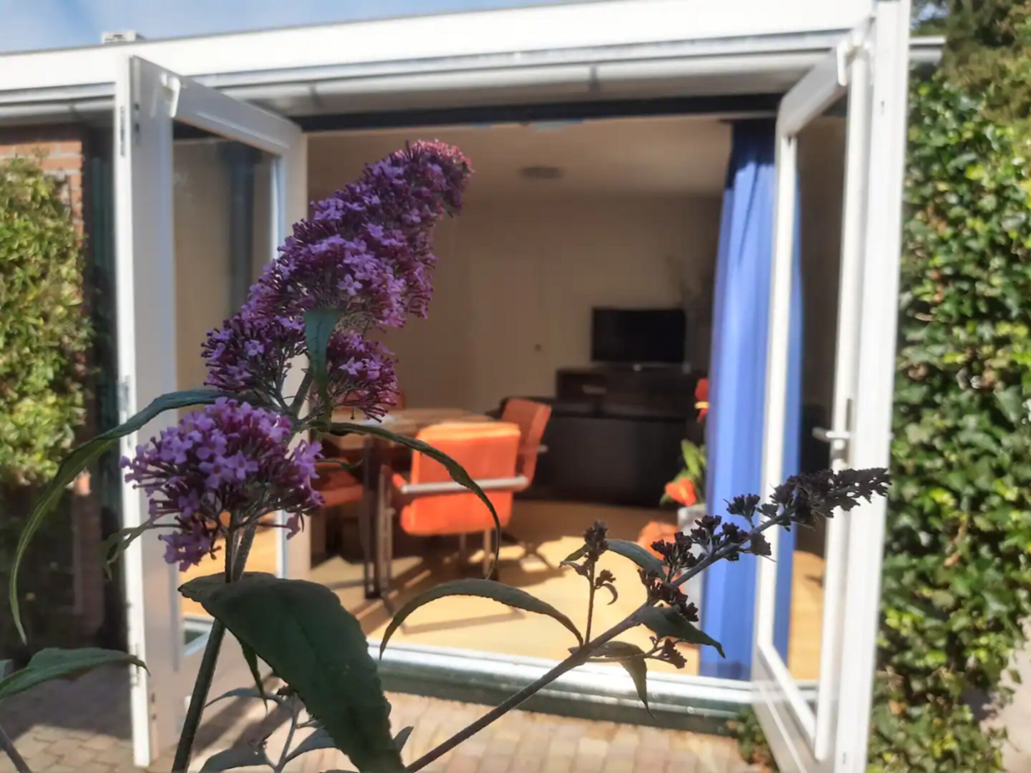   Vakantiewoning Hoog Noordwijk