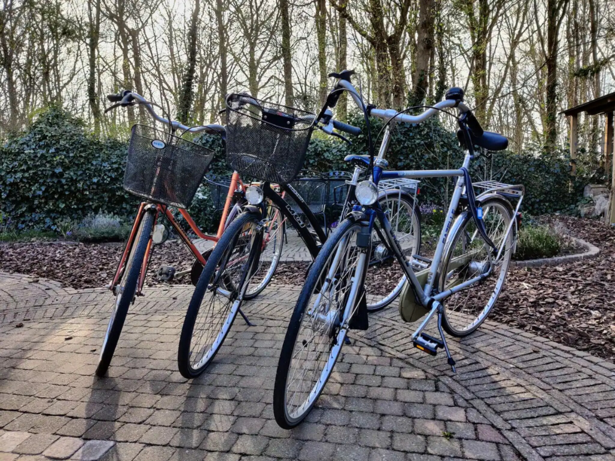   Vakantiewoning Hoog Noordwijk