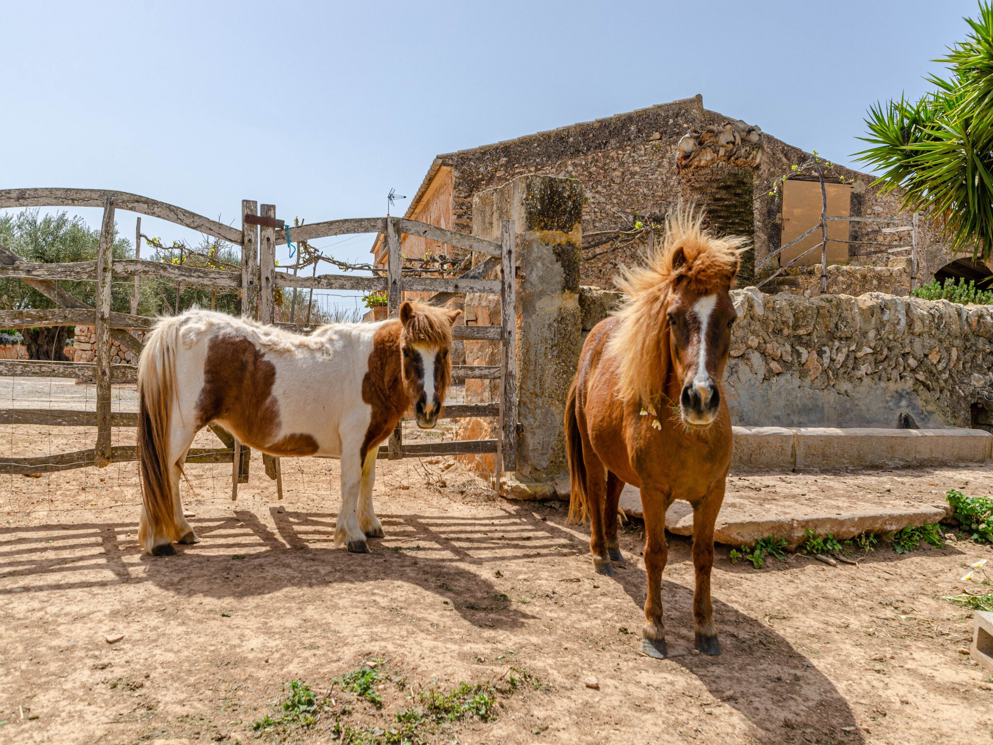 Feriebolig YourHouse Son Sala Terrat Apartment in Agroturismo