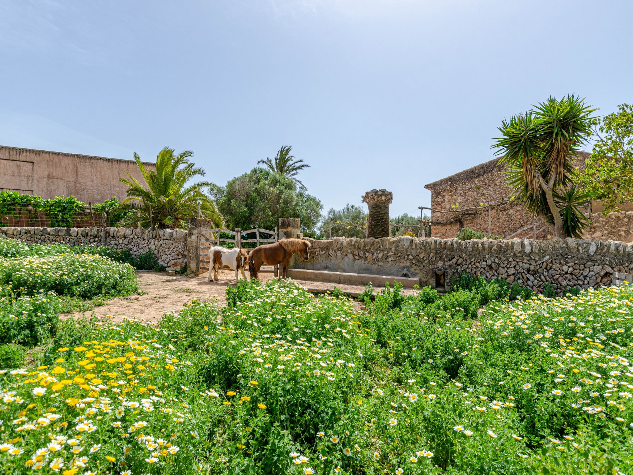 Ferienhaus YourHouse Son Sala Agroturismo Vina Vella - doble