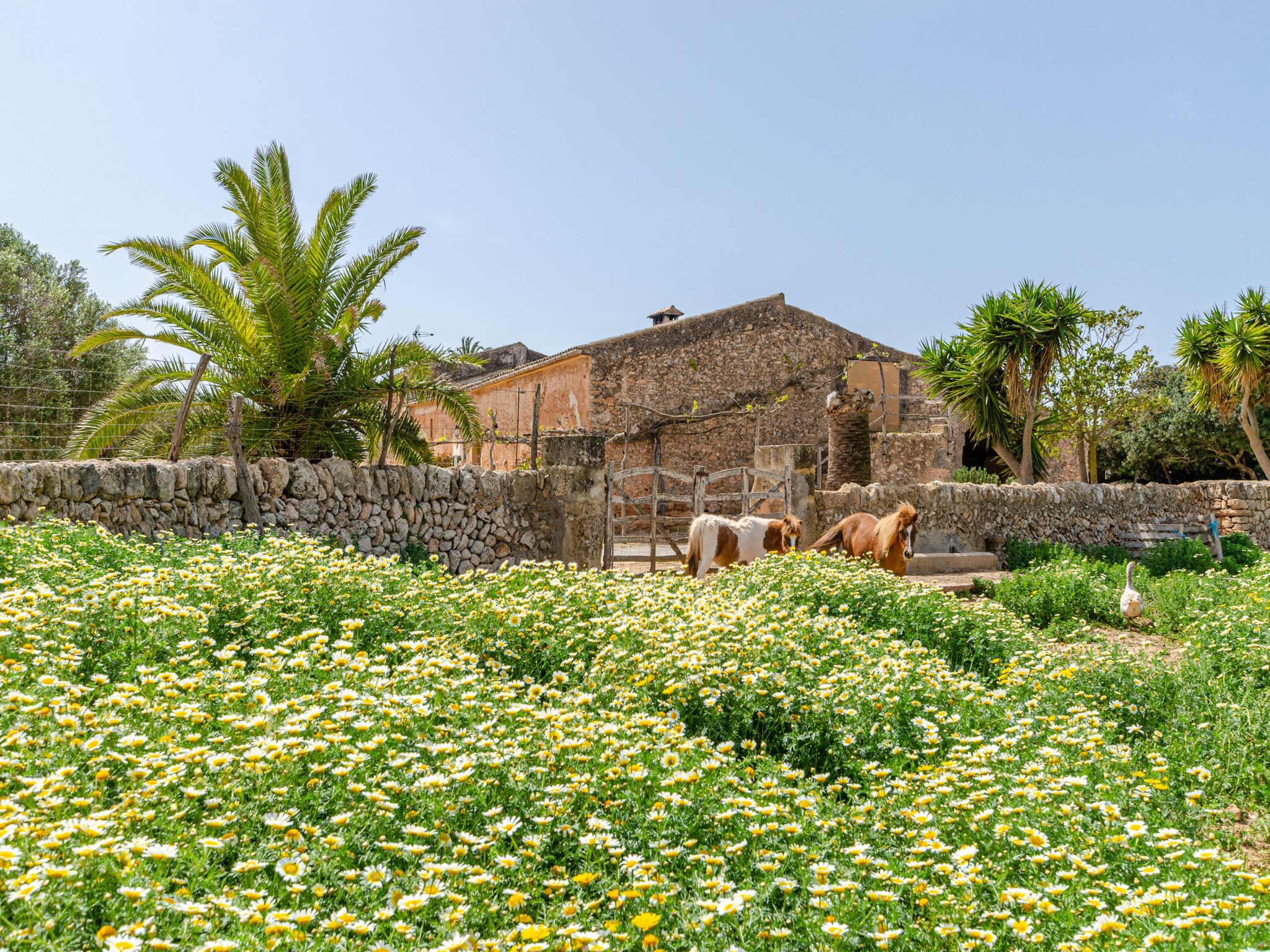 Casa de vacaciones YourHouse Son Sala Agroturismo Na gual doble