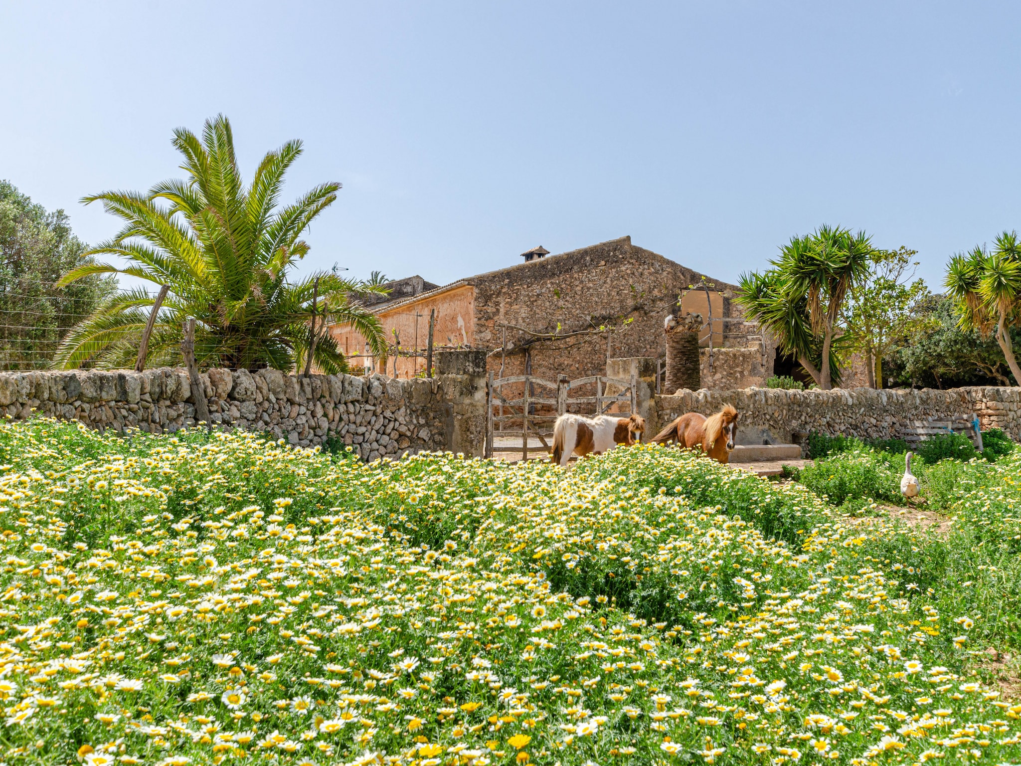 Semesterhus YourHouse Son Sala Agroturismo Galliner - doble