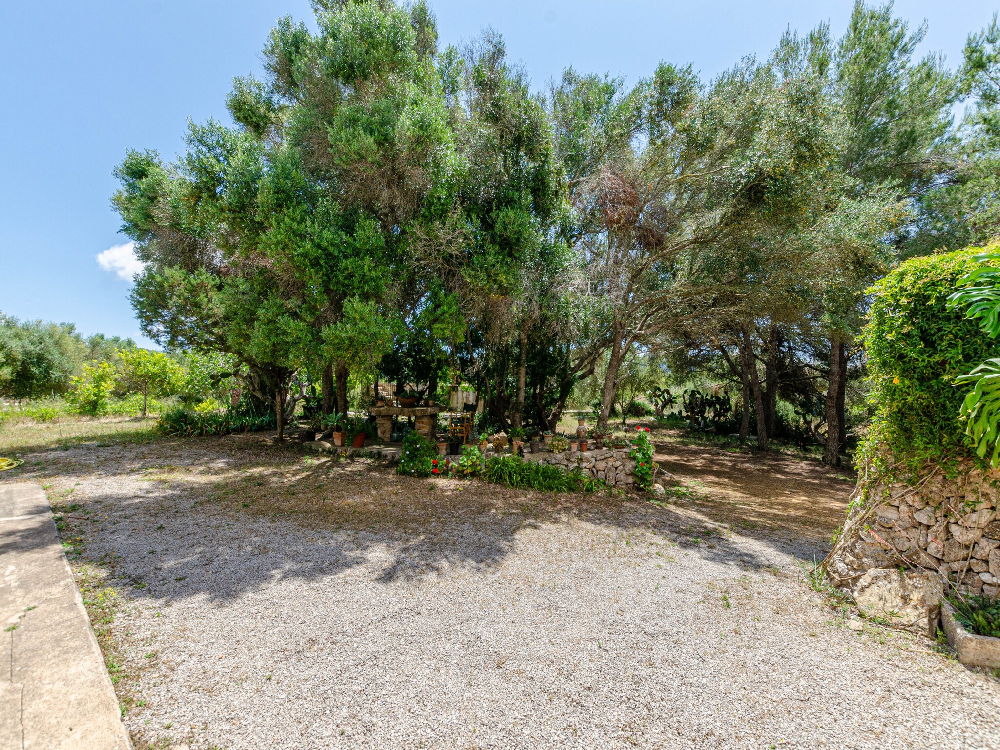 Ferienhaus YourHouse Finca Es Galliner