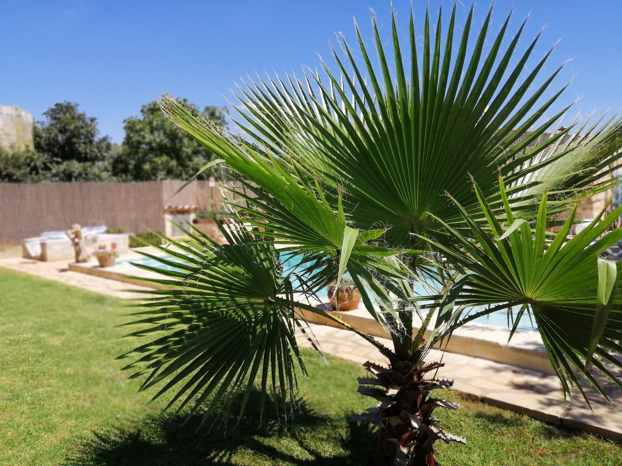 Casa de vacaciones YourHouse Sa Estada
