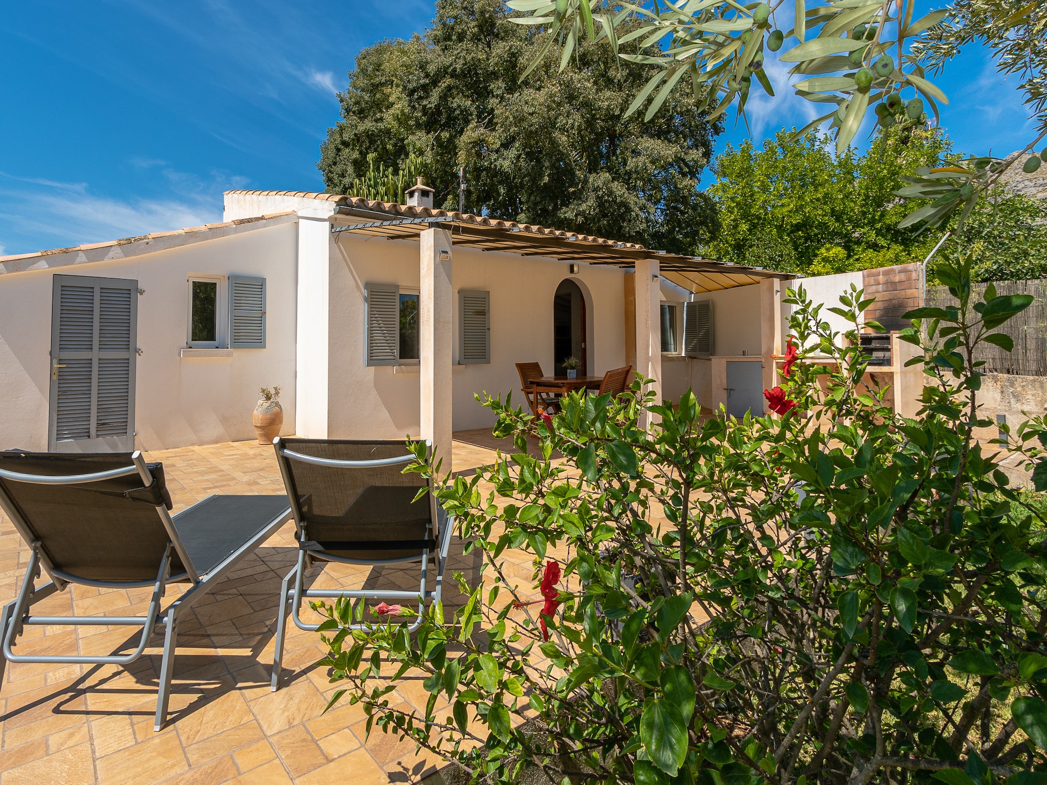 Feriebolig VILLA LES OLIVERES PETITES DE UN DORMITORIO