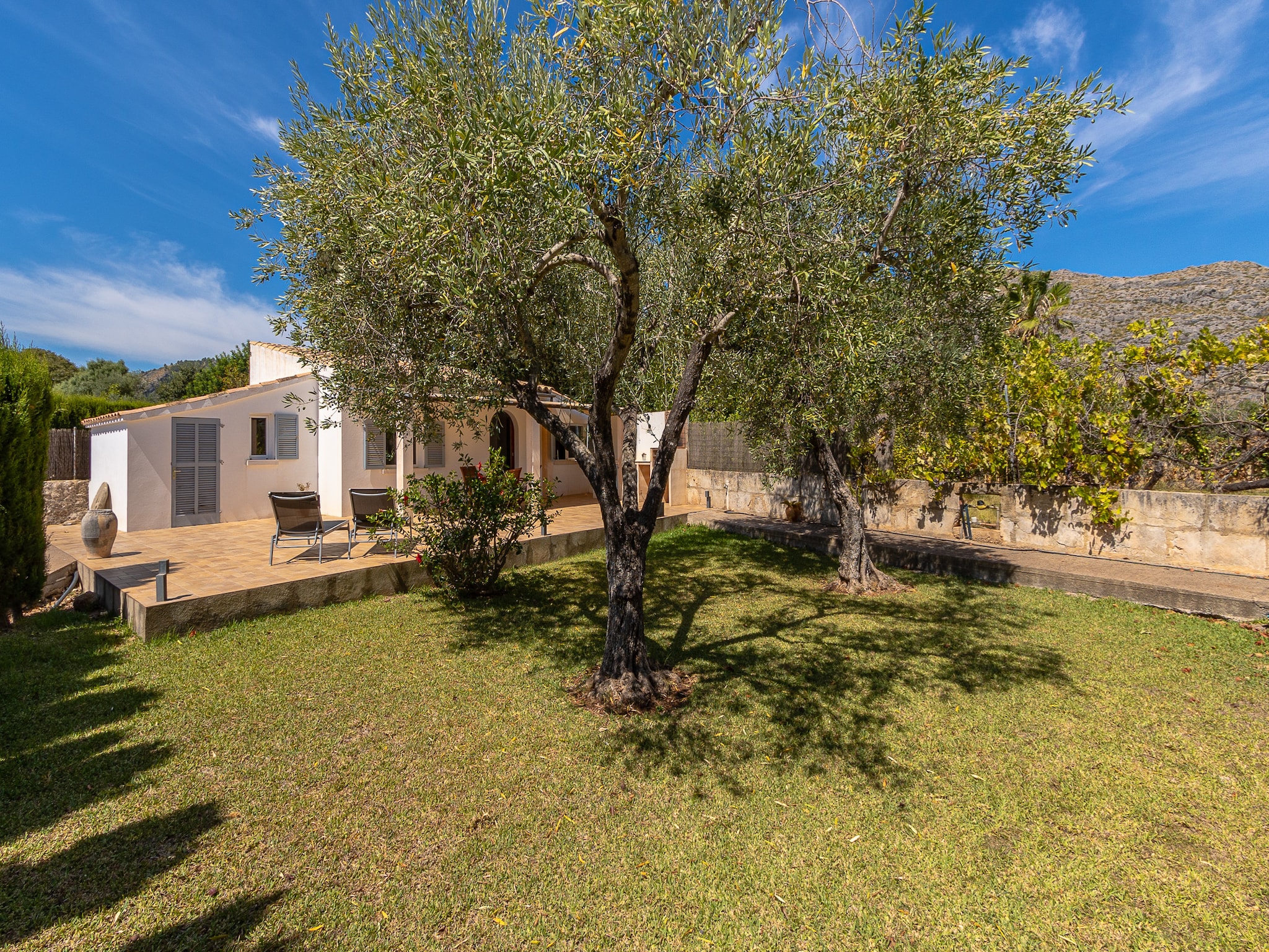 Feriebolig VILLA LES OLIVERES PETITES DE UN DORMITORIO