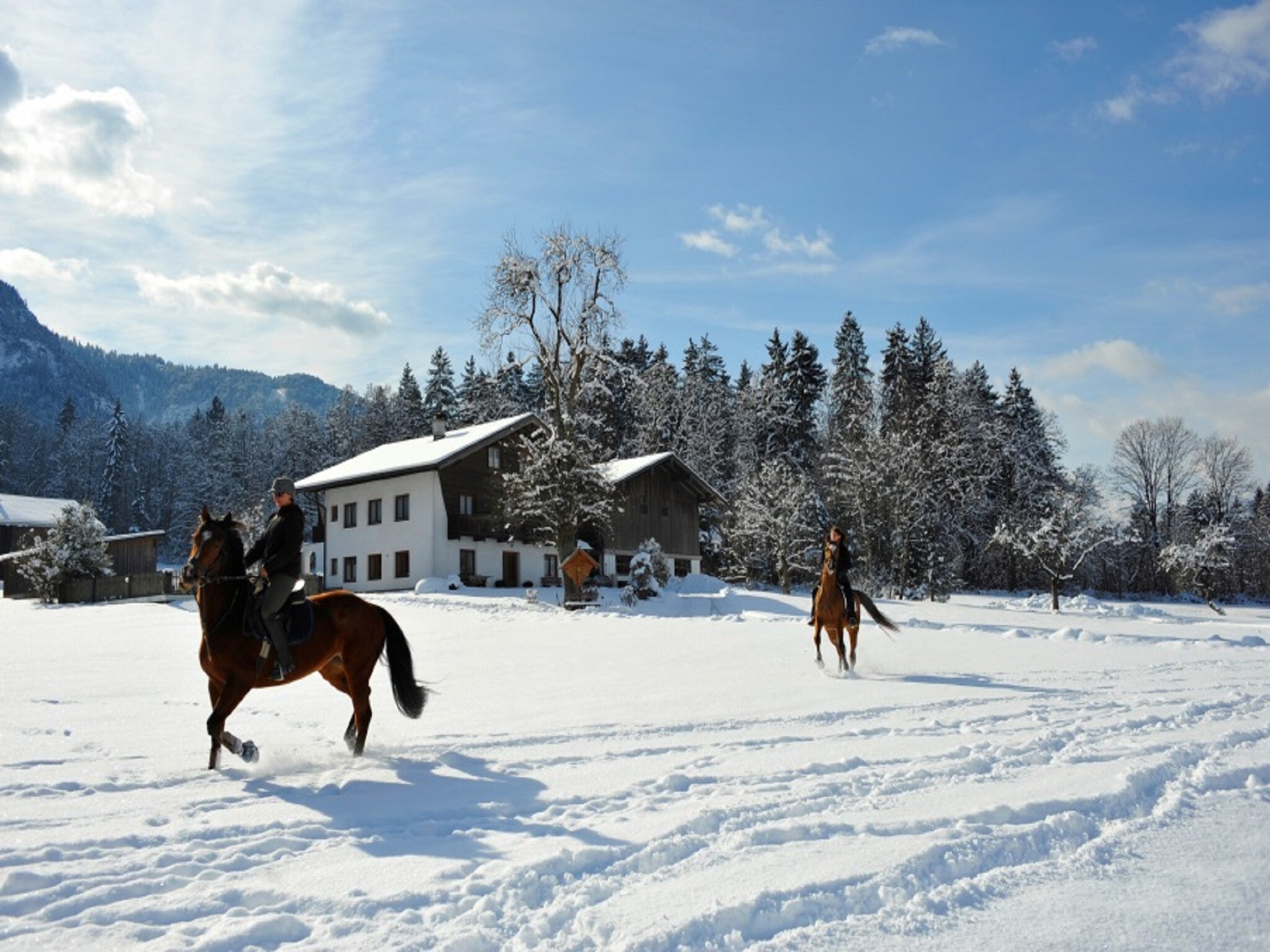 Ferienwohnung Brixental Suites 1