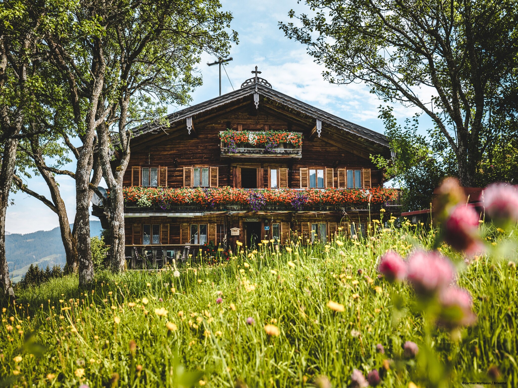 Lejlighed Chalet 104 Westendorf 3