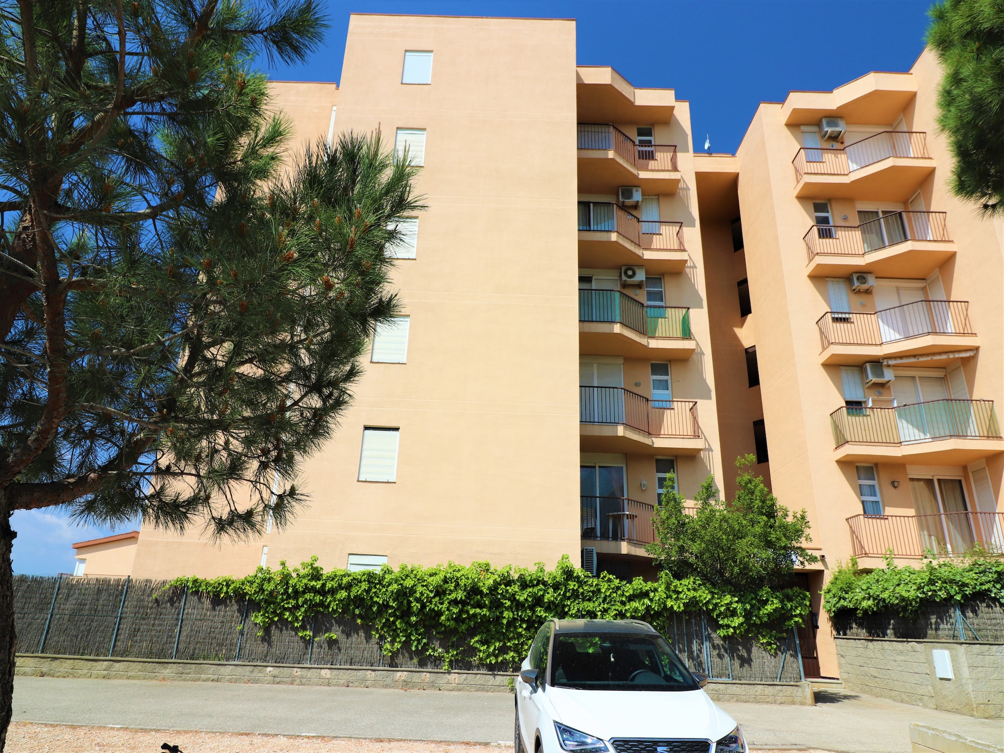 Appartement MEDITERRANEO  2 3 6 Roses