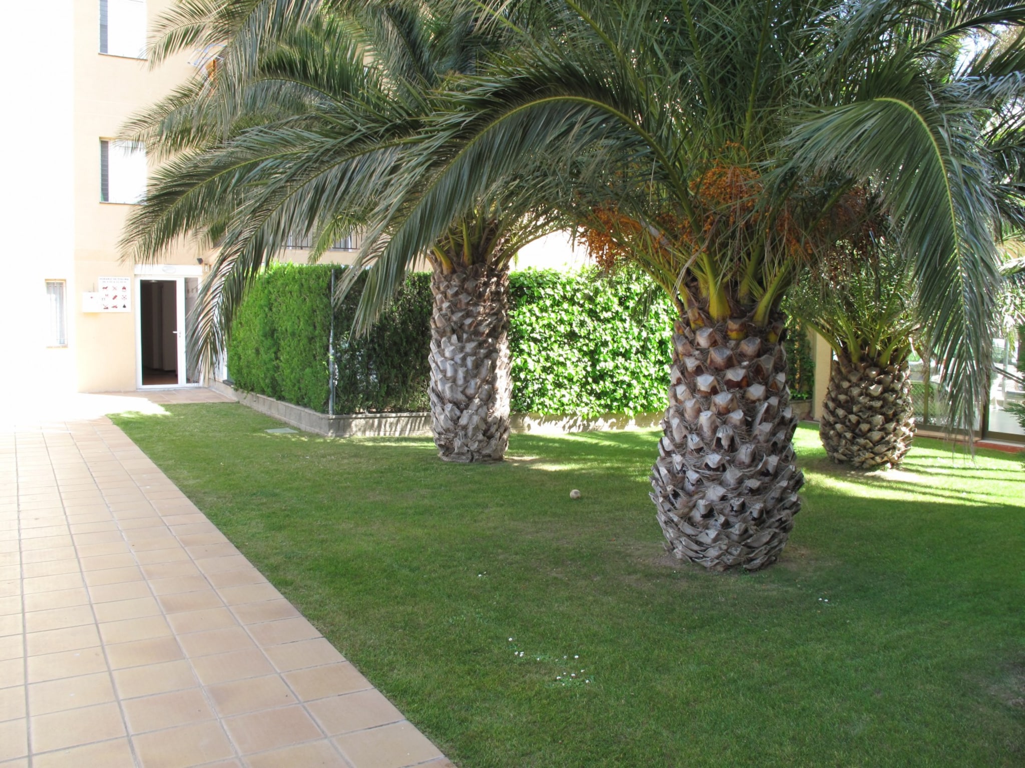 Appartement MEDITERRANEO  2 3 6 Roses