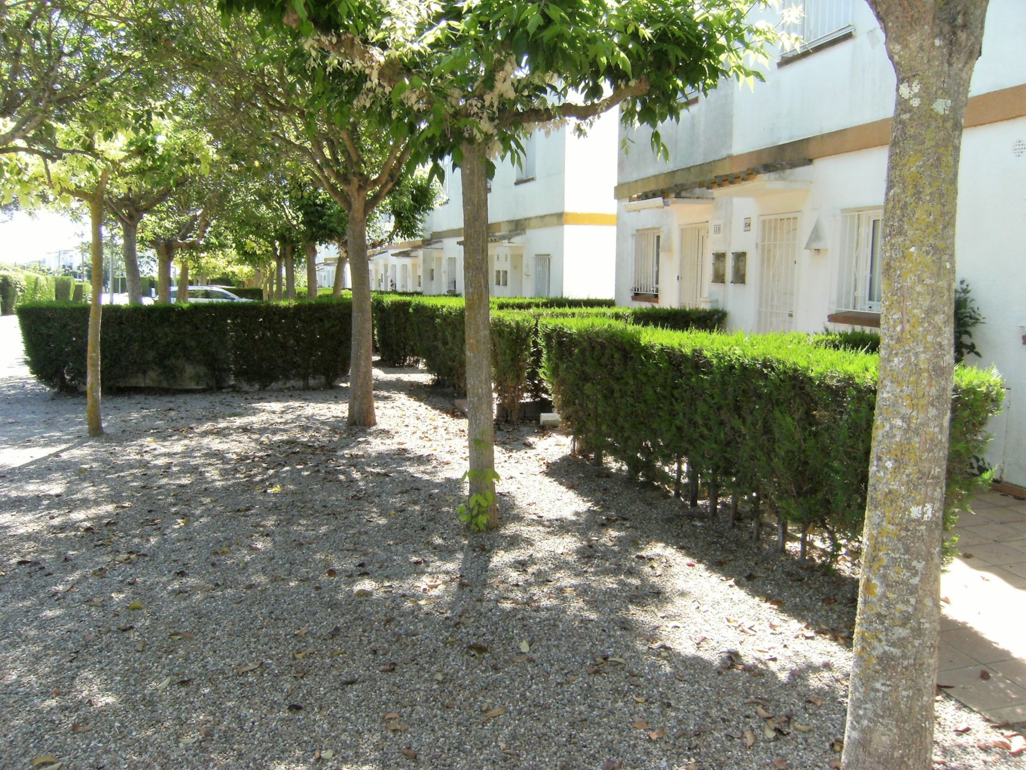   VALL PETITA 131