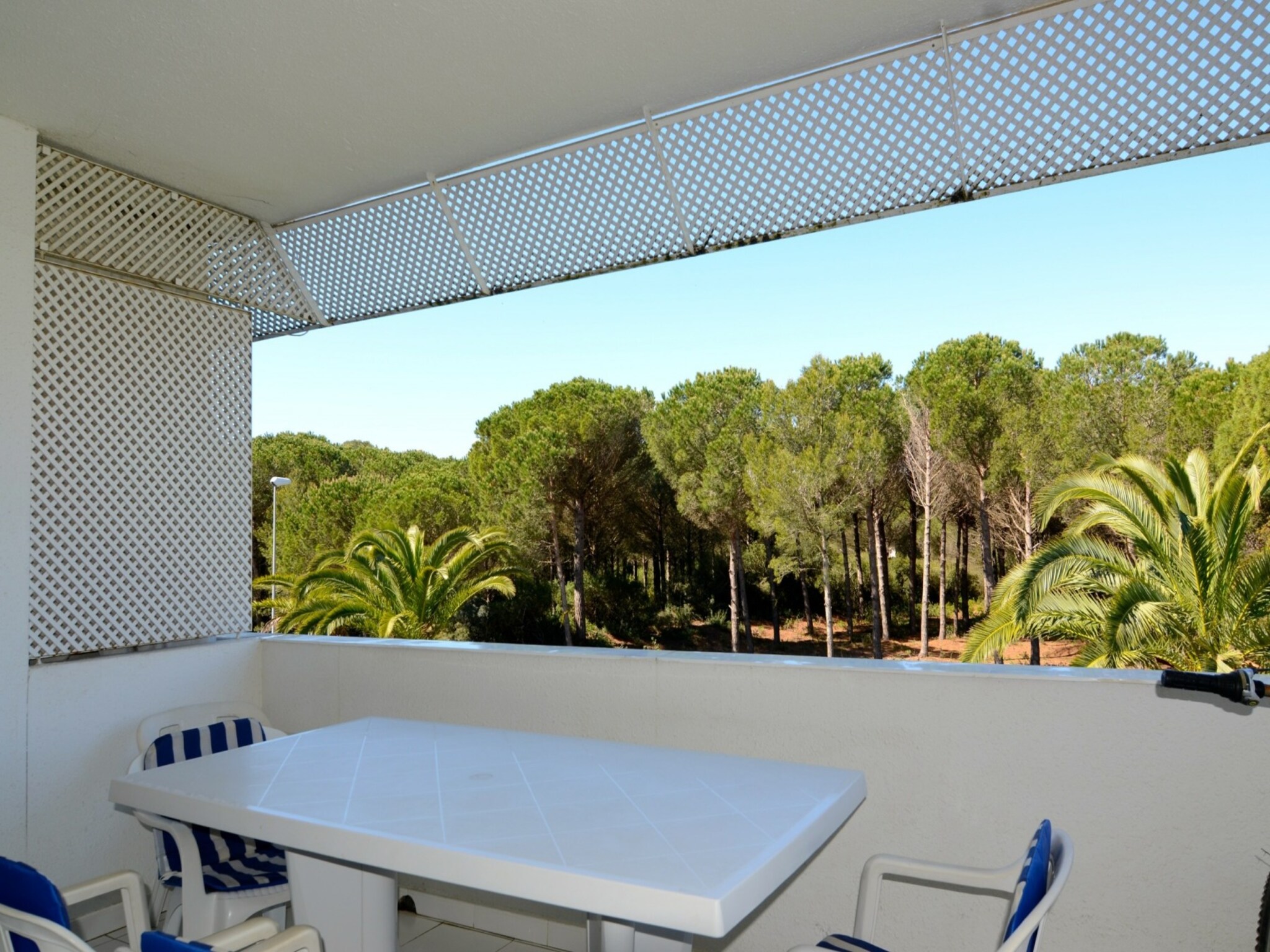Apartamento GREEN CLUB P 303 STAR