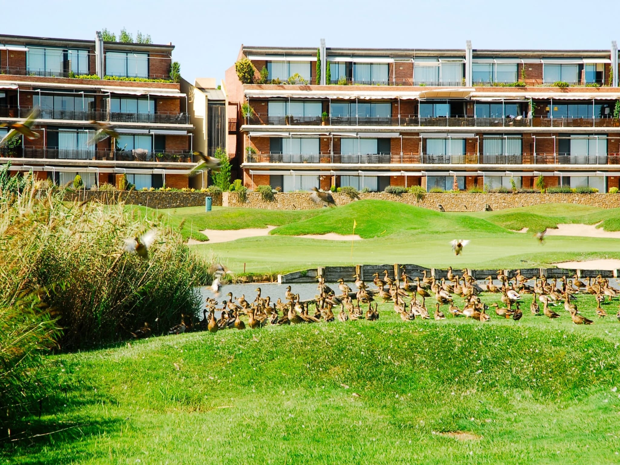   RESID.GOLF EST. 4 1-2