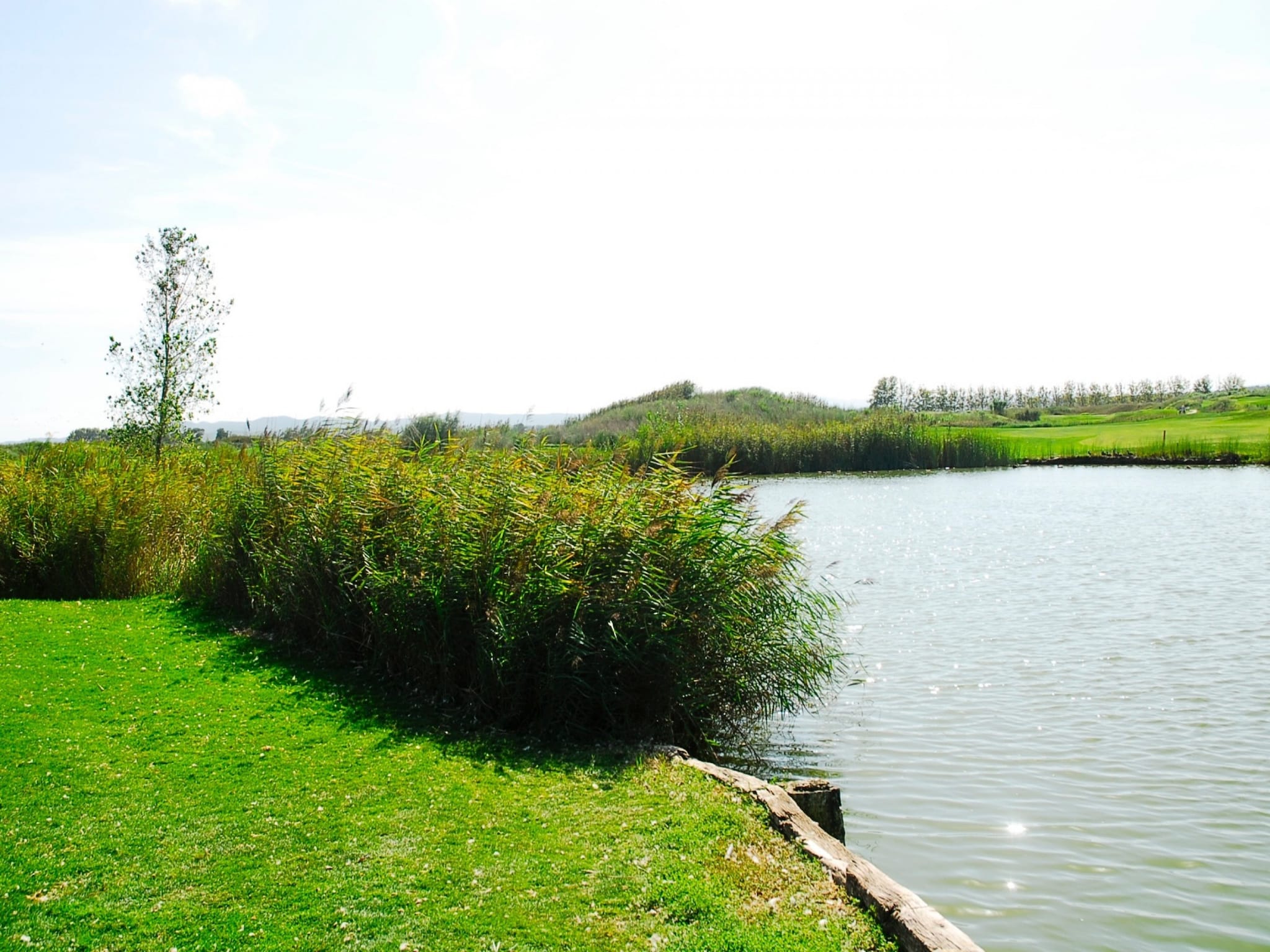   RESID.GOLF EST. 4 1-2
