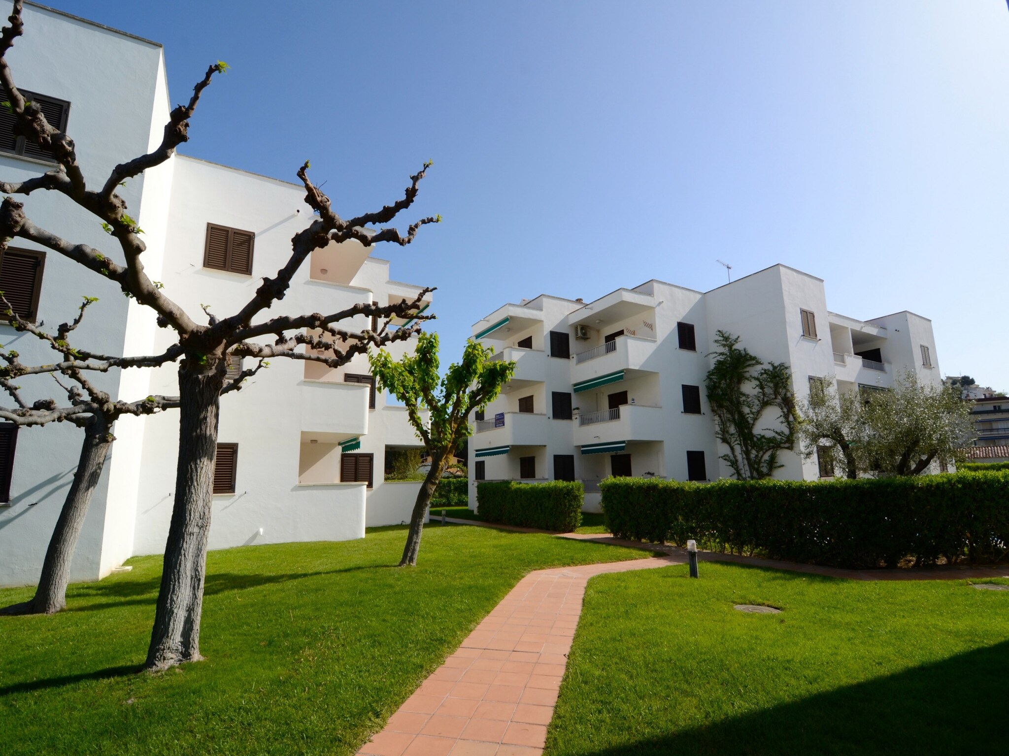 Apartment CALA MONTGO 15 AC