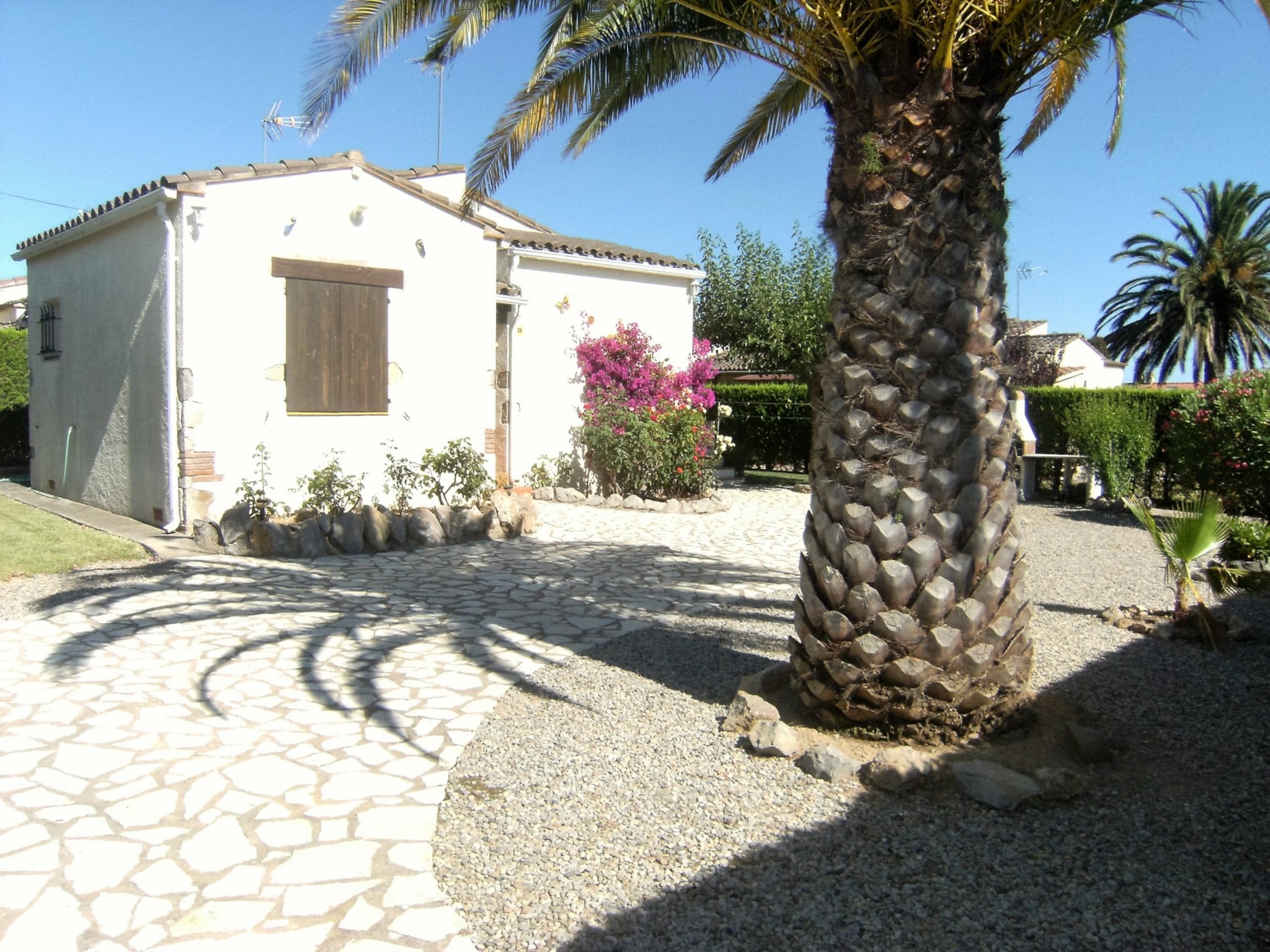   LES PALMERES 28
