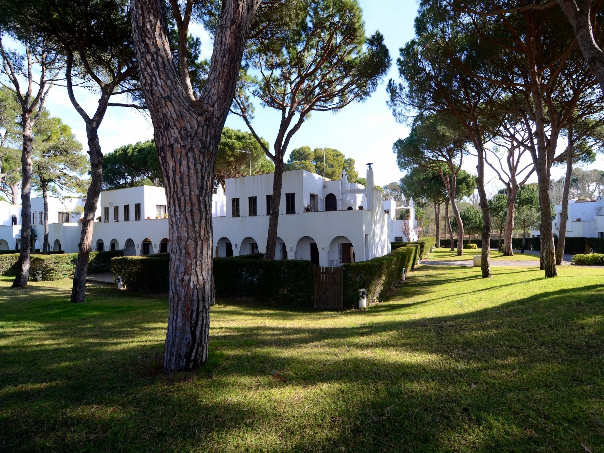   PIVERD GOLF 13