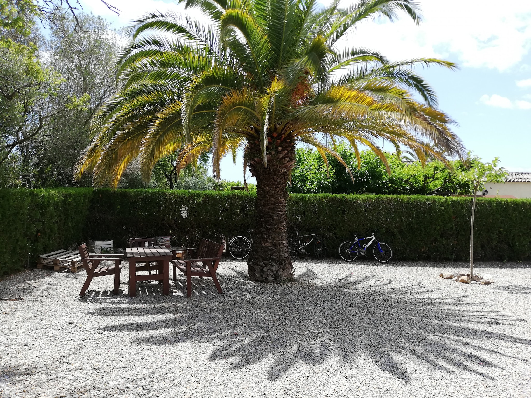Leilighet LES PALMERES 43