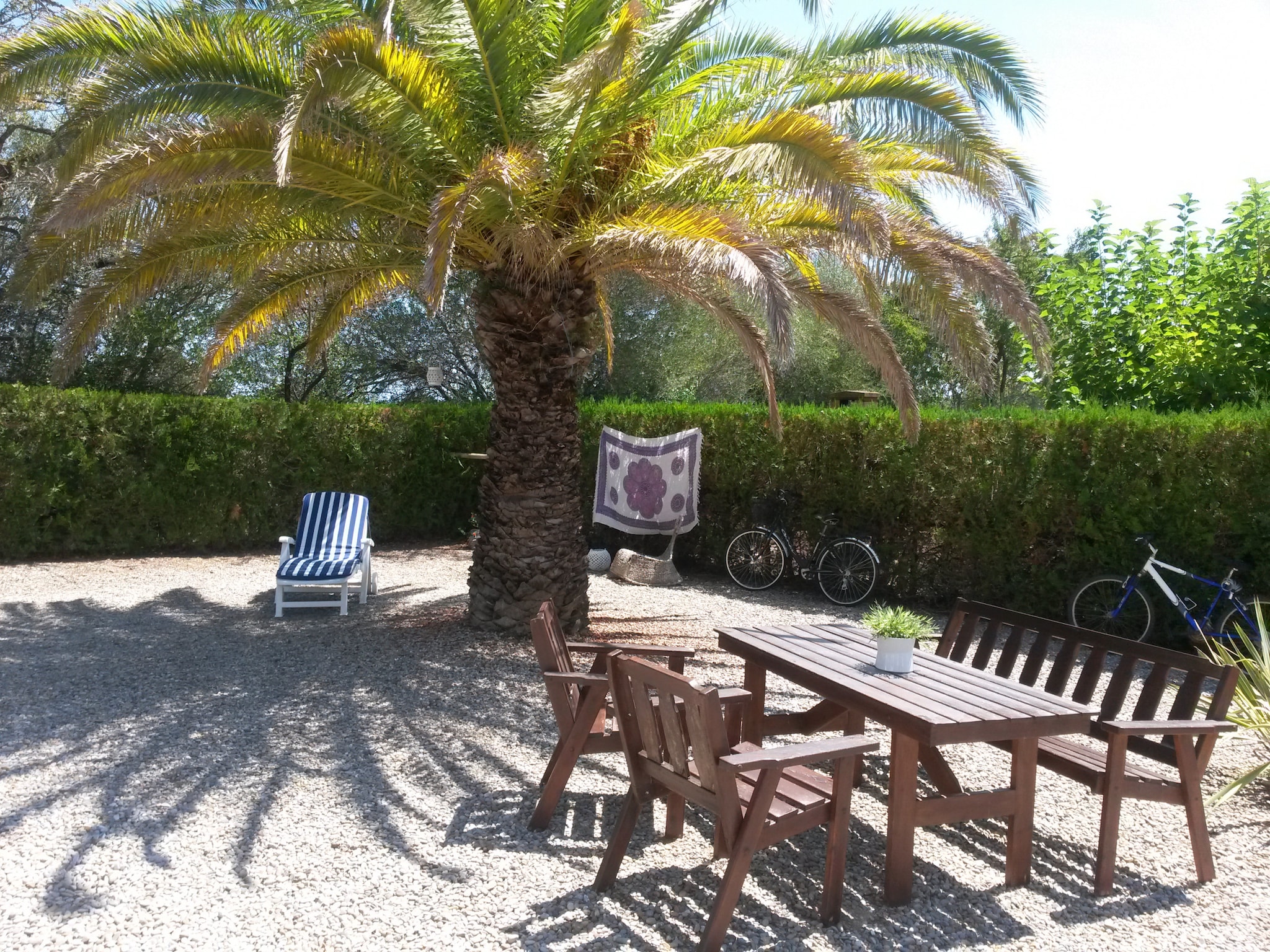 Leilighet LES PALMERES 43
