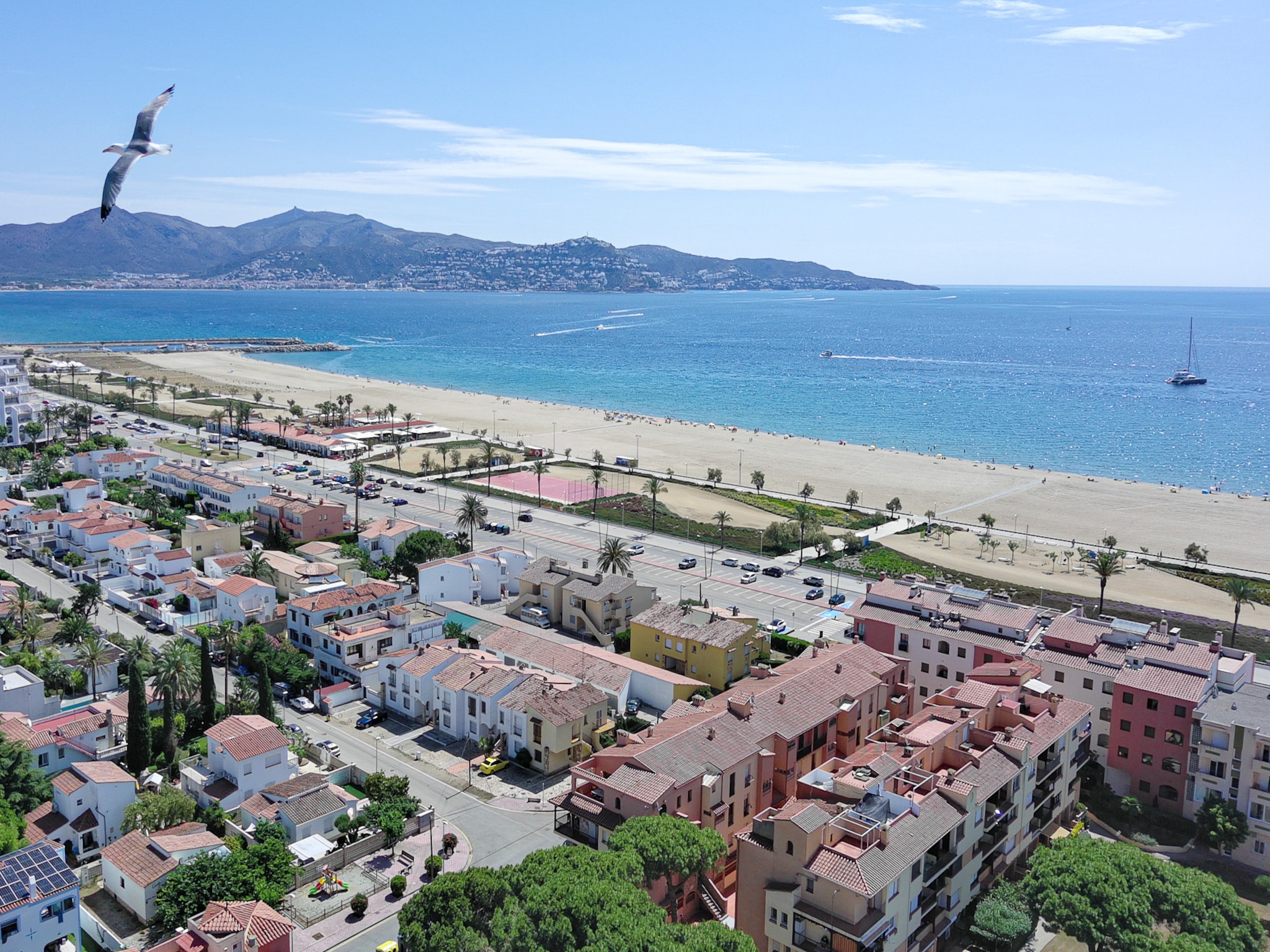 Apartment GRAN RESERVA MIMOSES 1 D