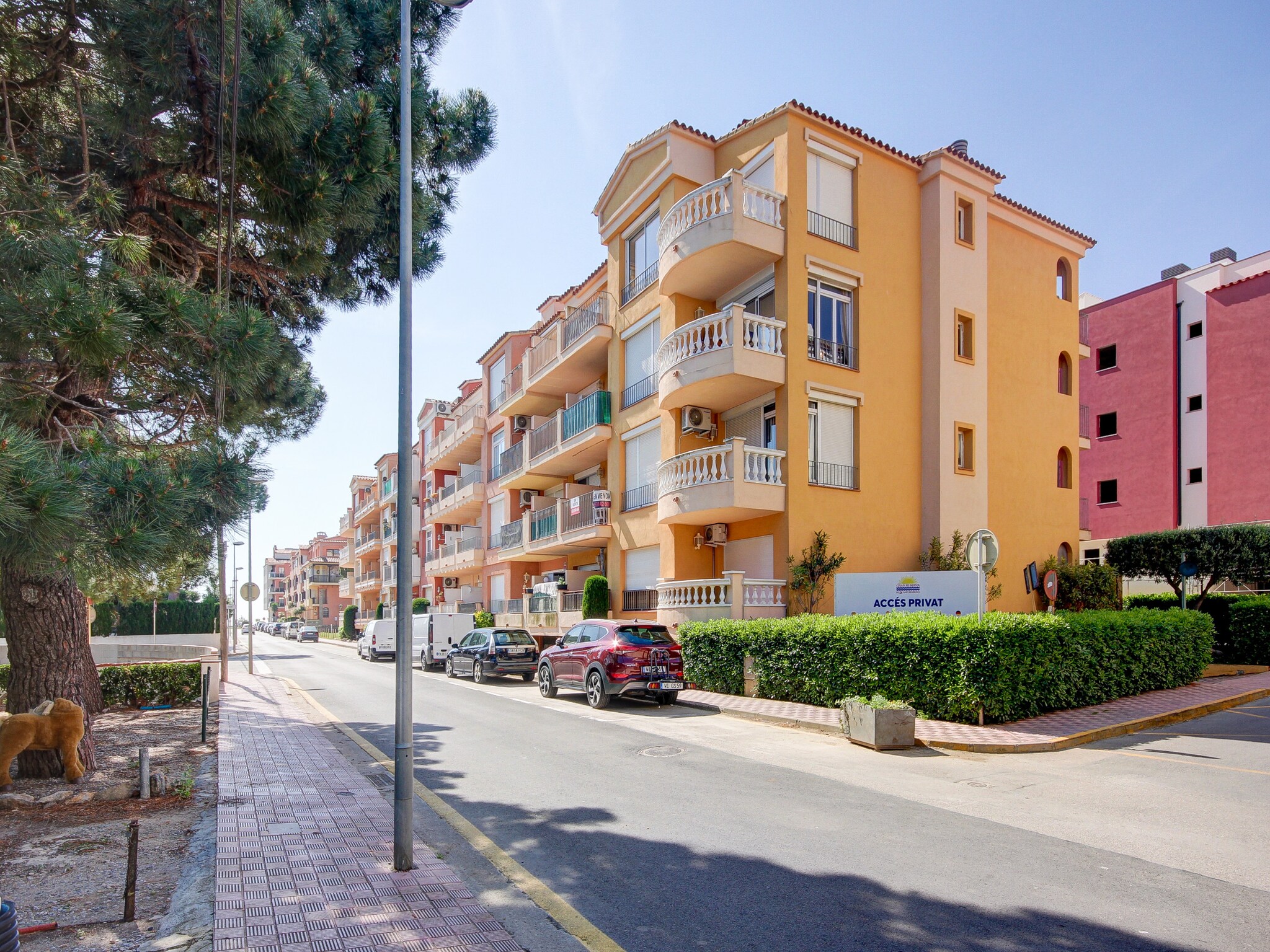 Apartment GRAN RESERVA MIMOSES 1 D