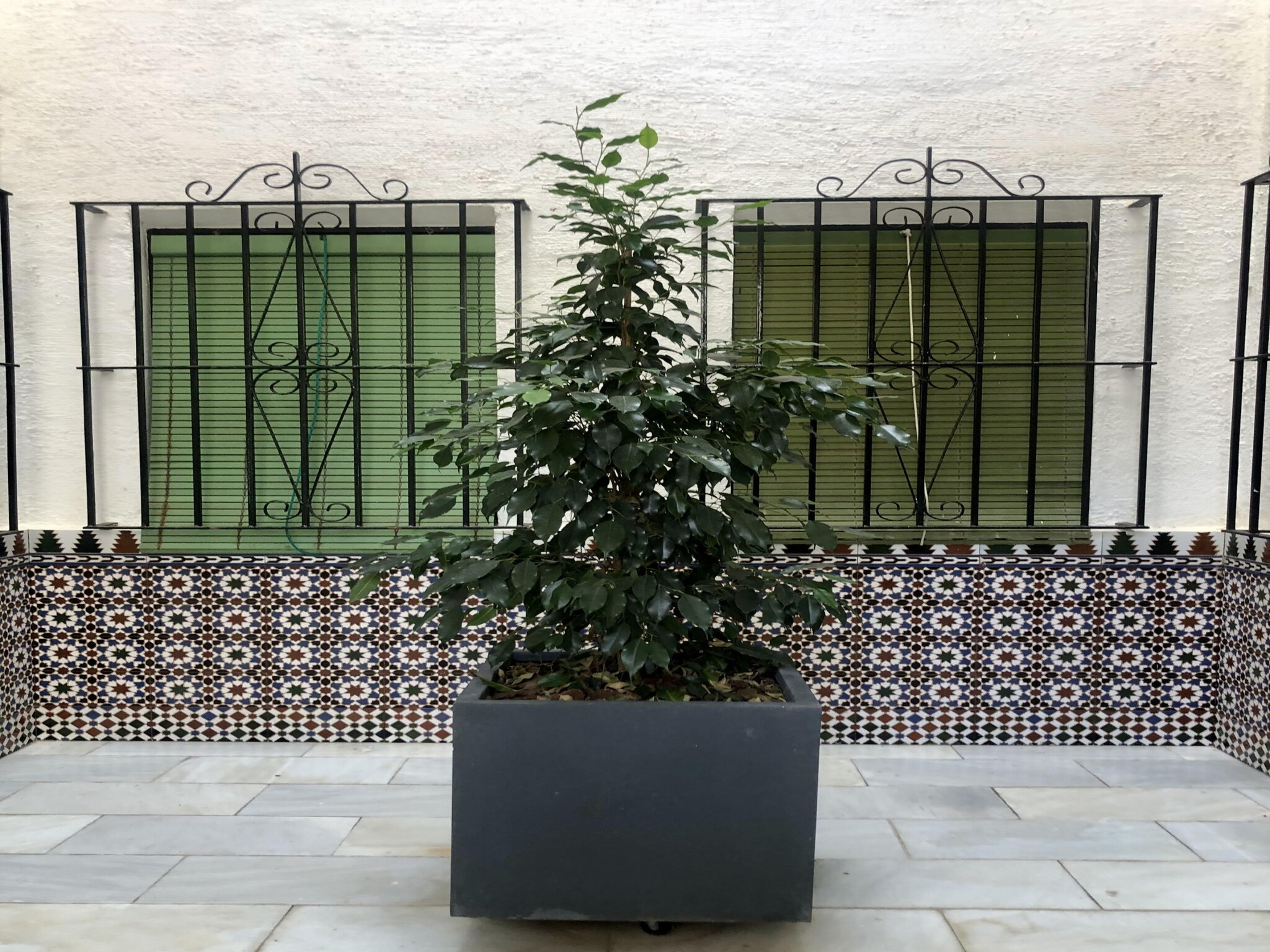 Apartment PUNTA ROMANA A 403