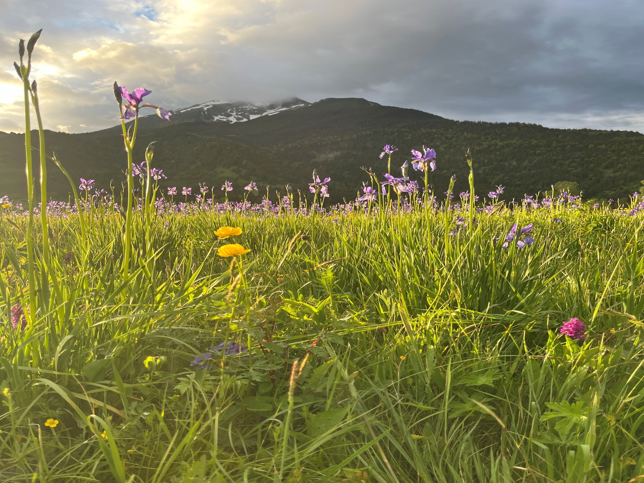 Leilighet Zugspitz Suites Lermoos 5