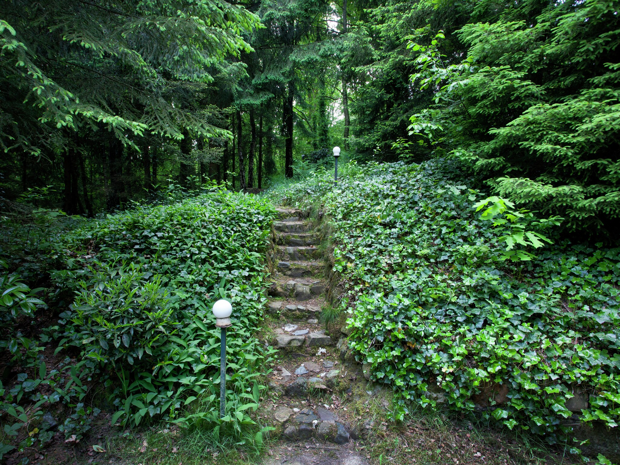 Casa di vacanze Boshuis het Eekhoorntje