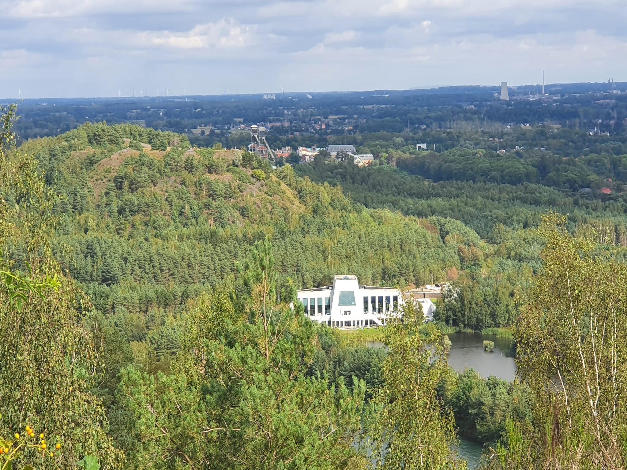 Ferienhaus Het Hertenbos